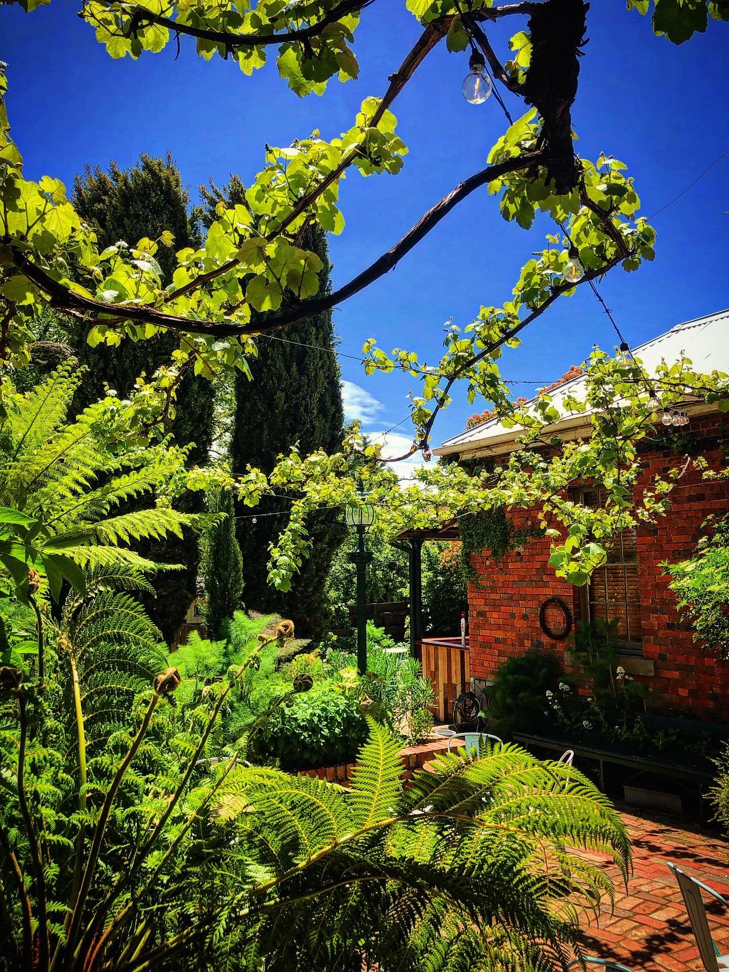 Our courtyard.. right now.
Perhaps you should have lunch here today?