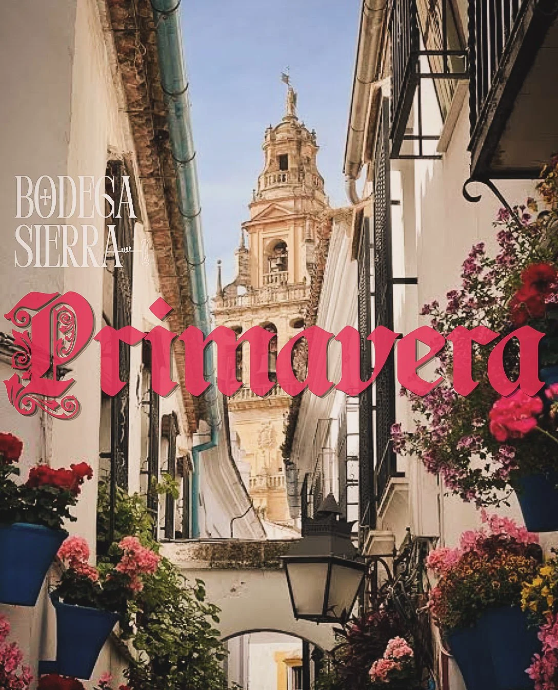PRIMAVERA / Spring

You can feel it now.
It&rsquo;s coming. 
It&rsquo;s nearly here. 

New Spring Menu starts today.

BODEGA SIERRA
with @frankcamorra from @movidamelb 
in Kyneton @piperstwineco