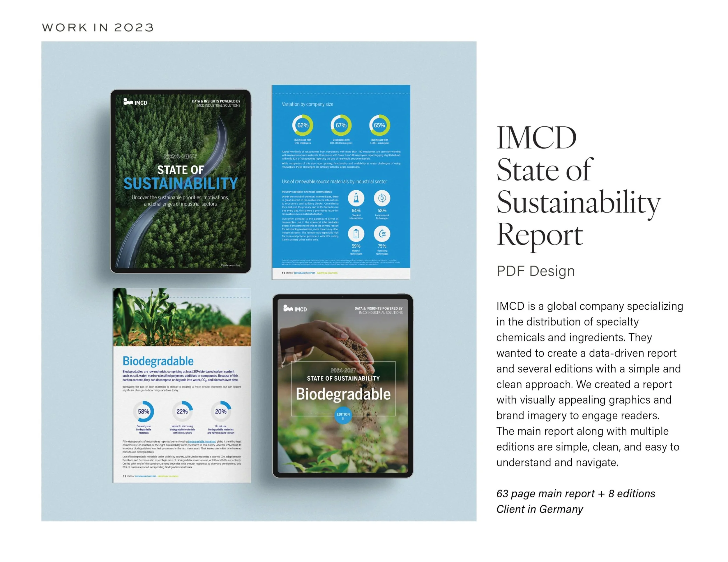 Portfolio1-PDF-Design-CaseStudy-nonprofit.jpg