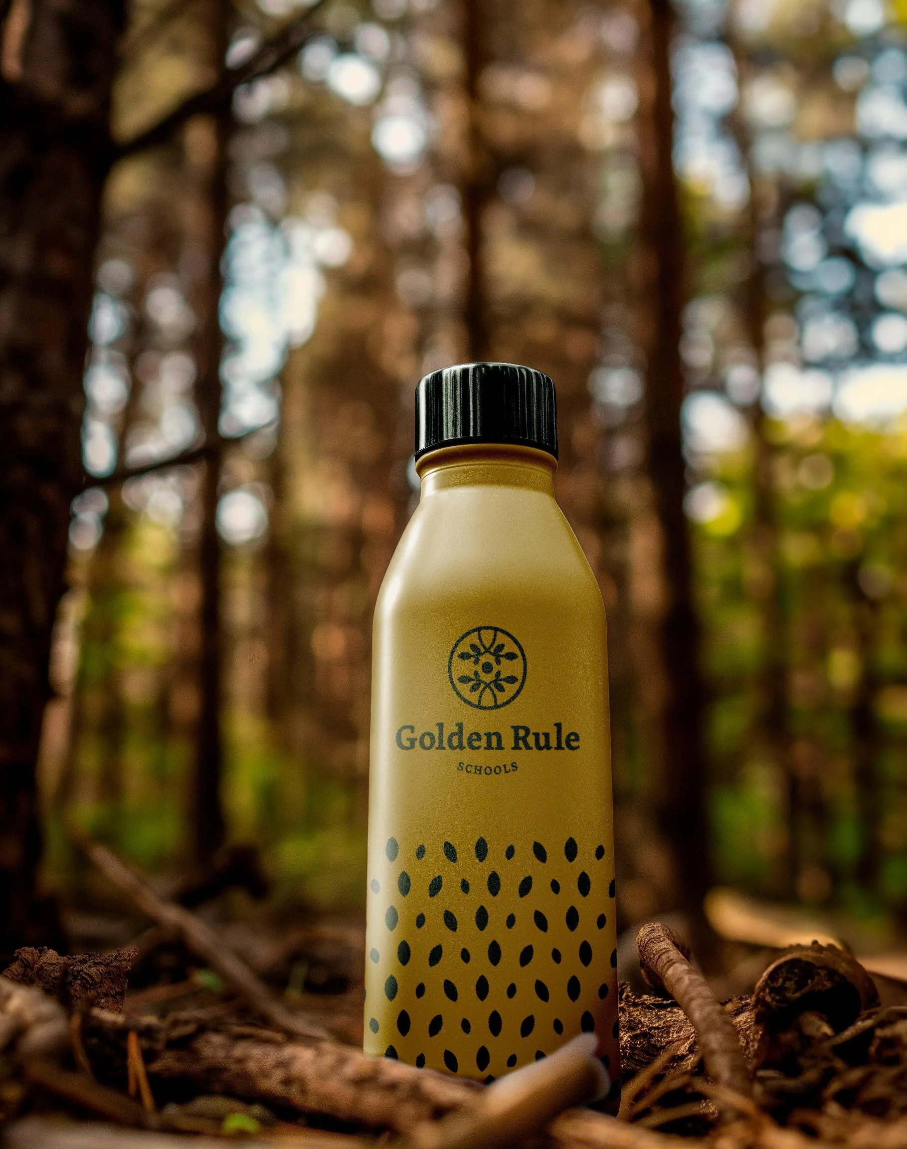 Preschool Logo and Brand Identity Design Case Study