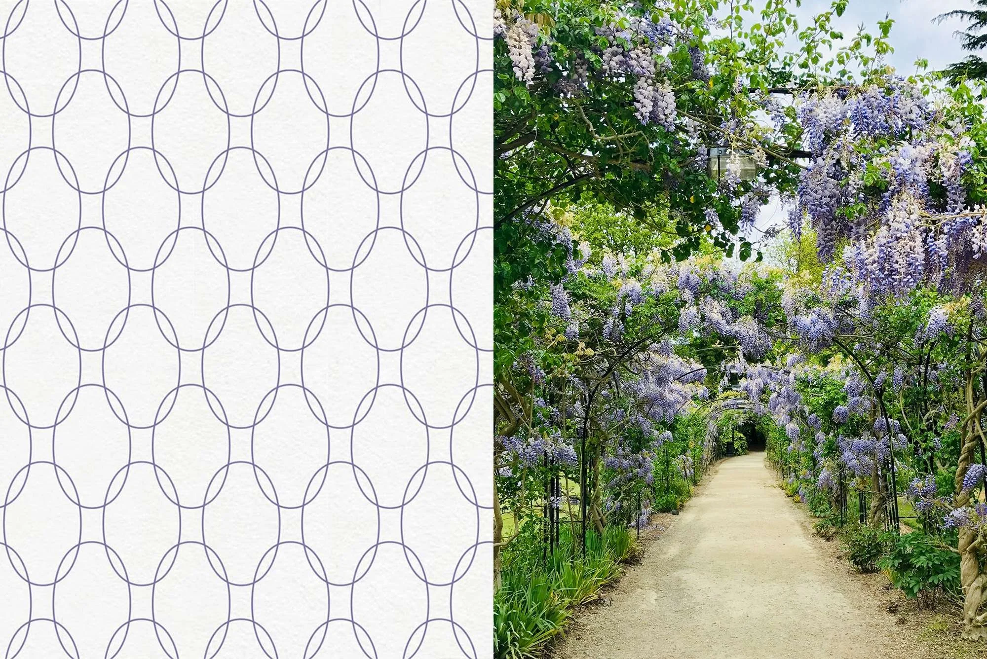 Showing visual identity design elements such as brand imagery and patterns