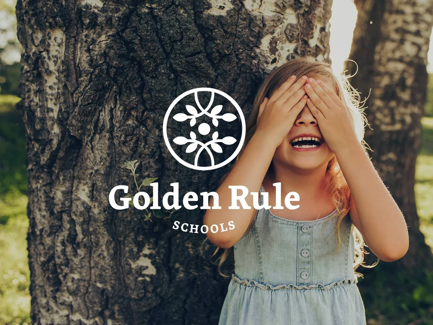 Custom Brand Identity for Golden Rule Schools