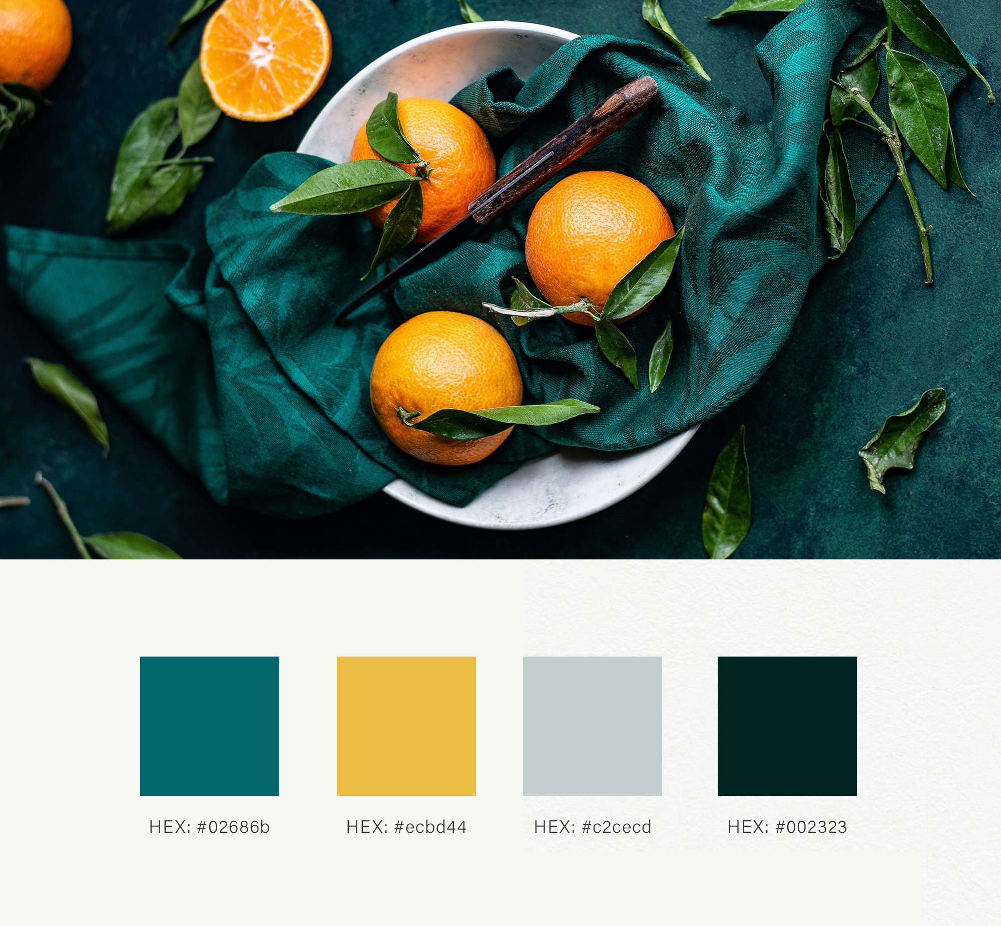 Winter Color Palette Ideas for Your Brand Personality — Natsumi ...