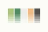 Building a Brand Style Guide: How to Create Your Color Palette
