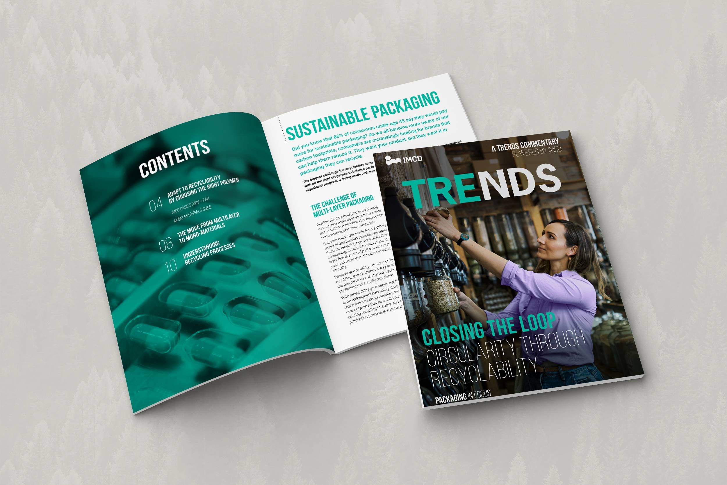 Professional editorial report design featuring cover and structured pages with clean typography and clear visual hierarchy