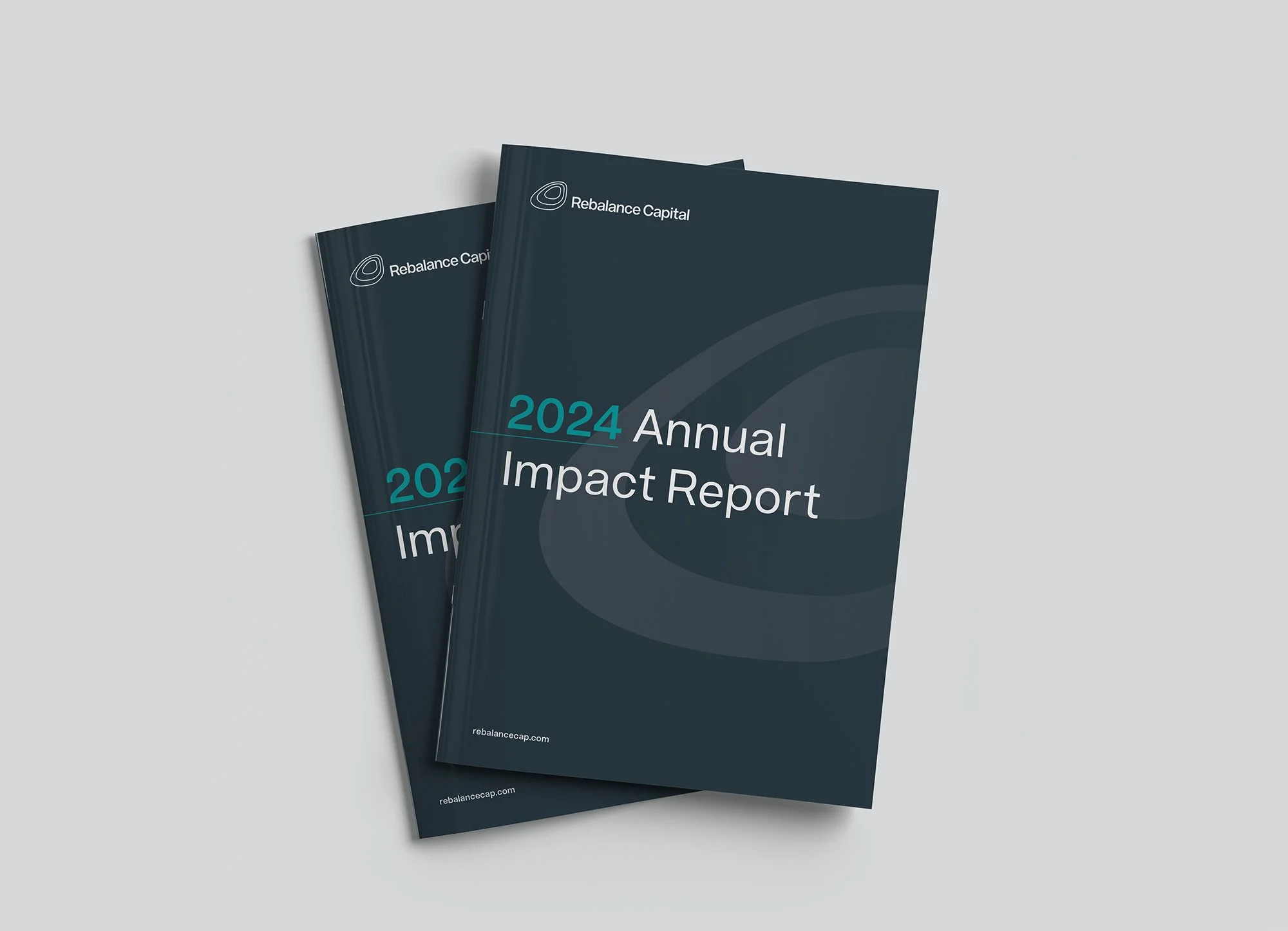 Rebalance Capital | Impact Report Design