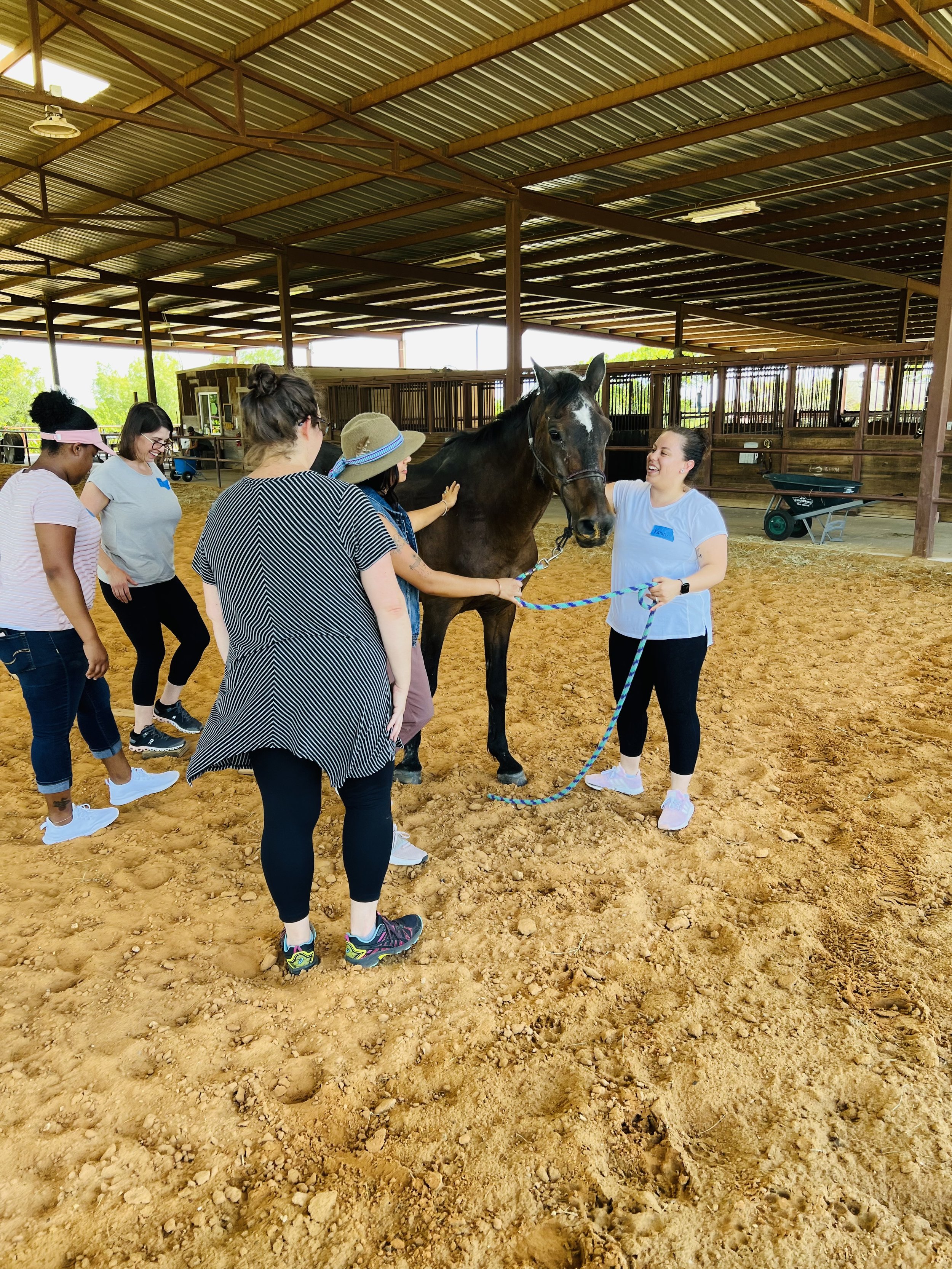 group standing around a horse in a barn at casa de miel