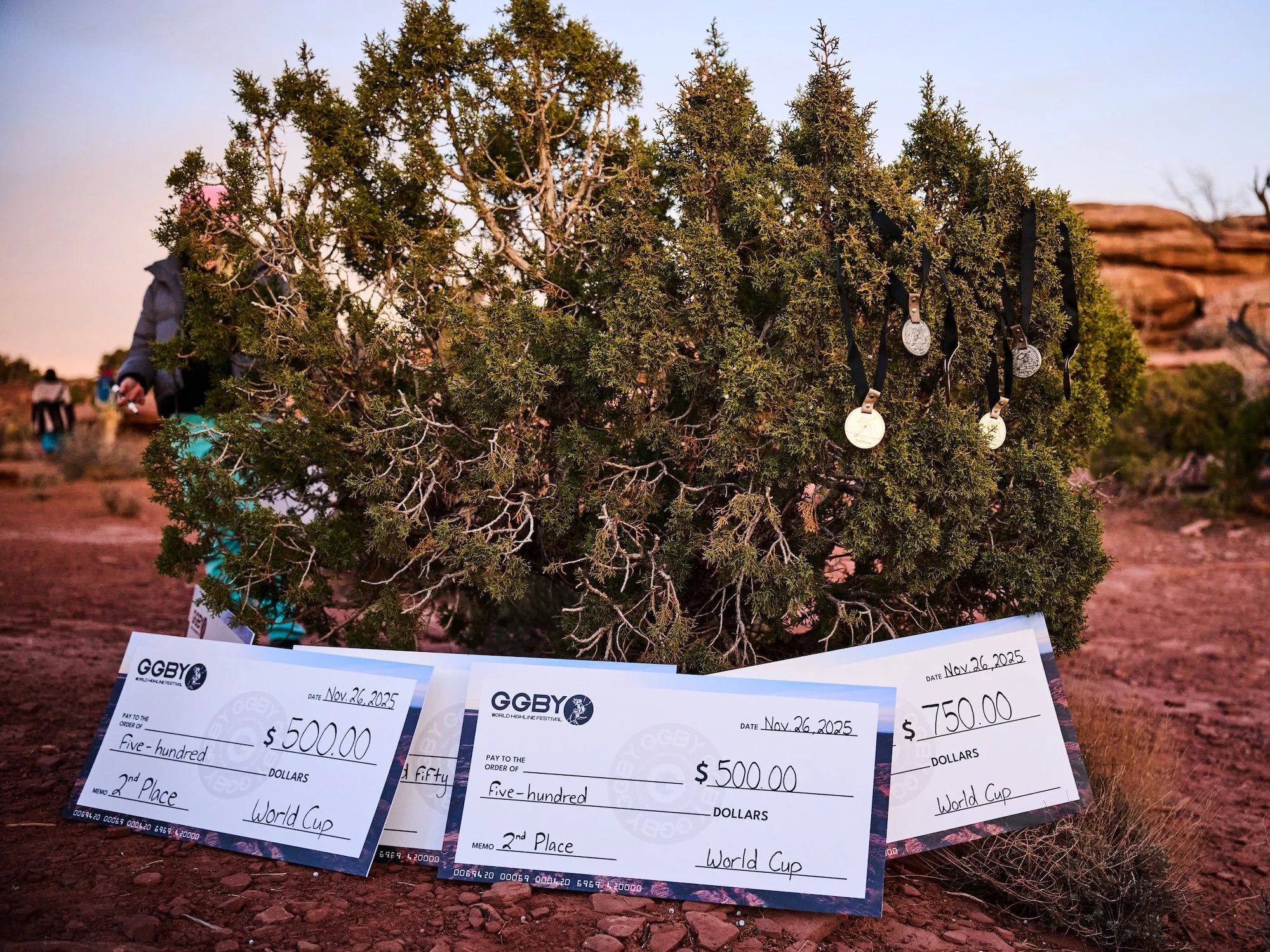 StepanDavidovic__Tree_with_medals_and_cheques.jpg