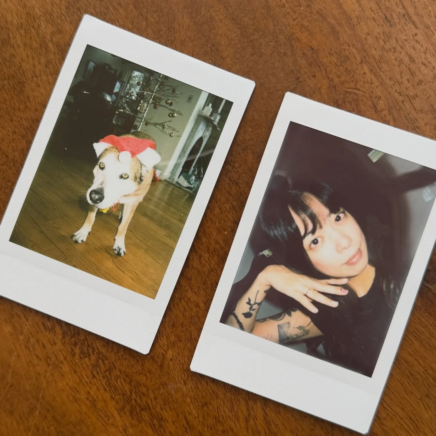 merry christmas everyone! found my old instant camera 🤩