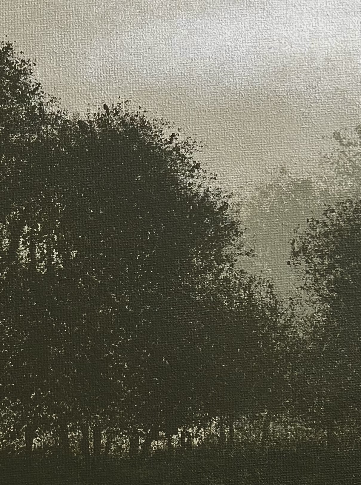 B7E05351-AD16-4F19-8B2A-00C11A40DBF6.jpeg