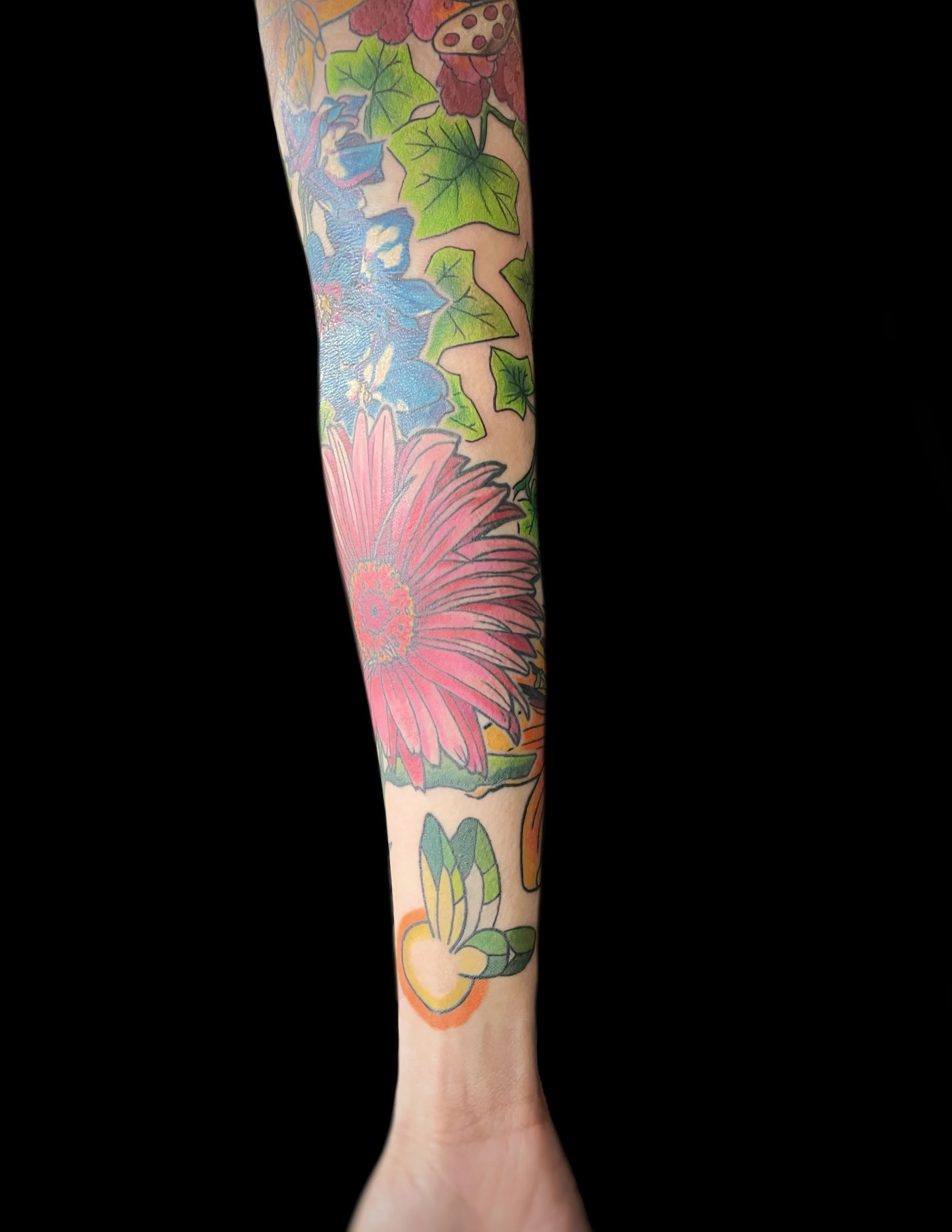 JPEG image-50E86F6DD17B-1.jpeg