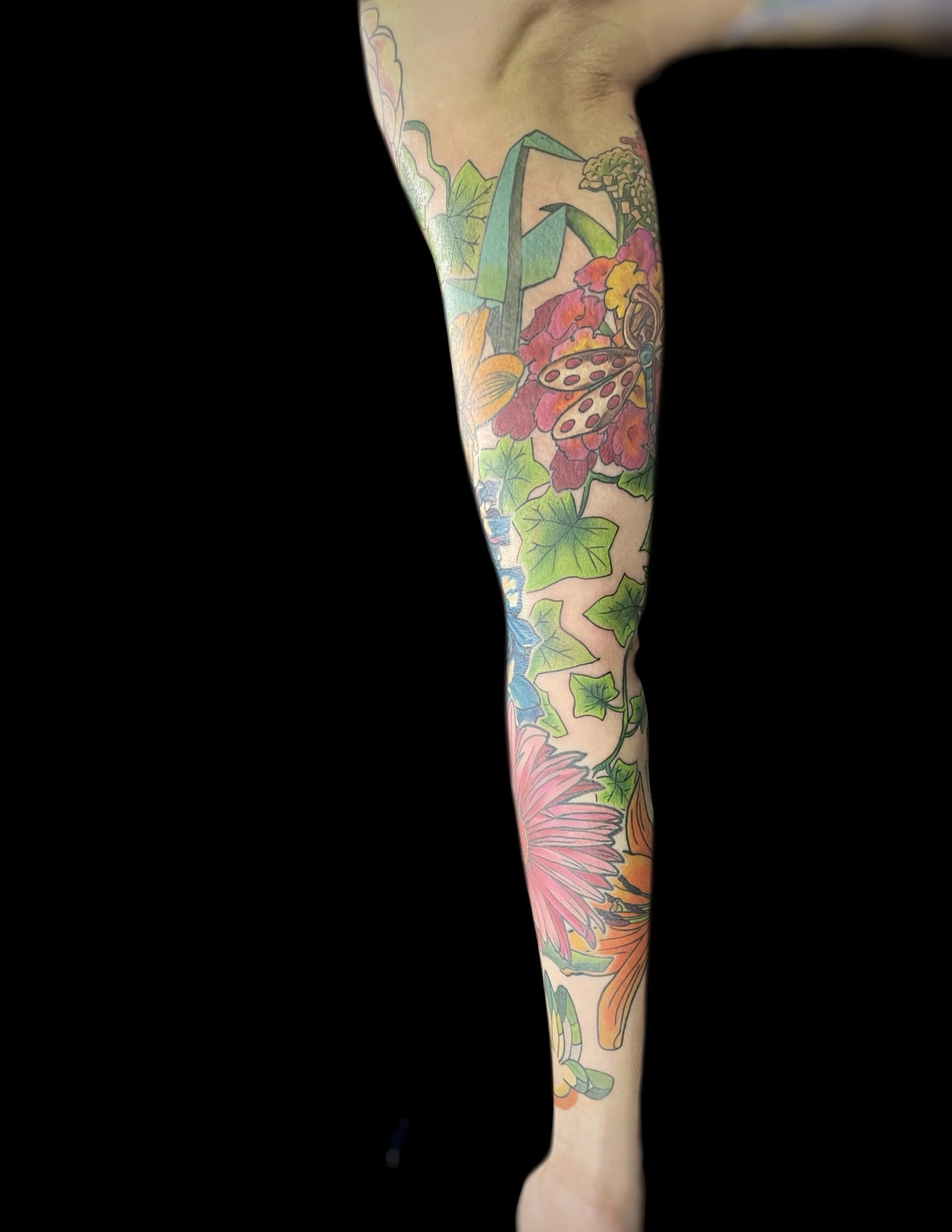 JPEG image-6CC56A0A1C73-1.jpeg