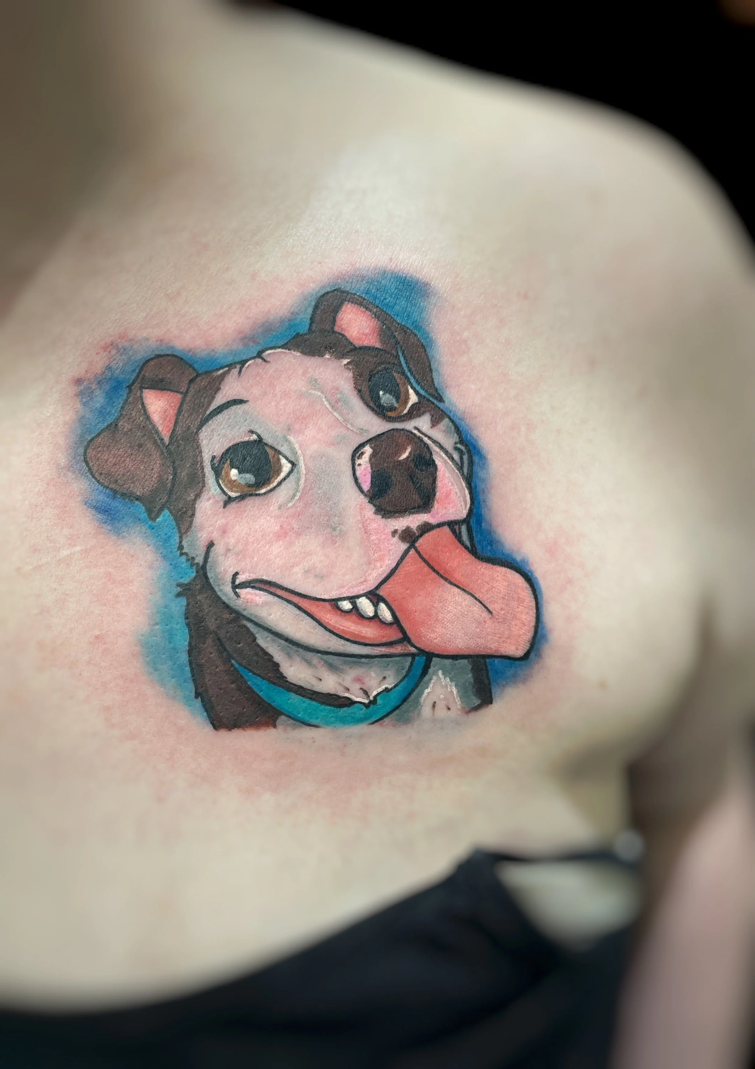 JPEG image-FE4347D64C6D-1.JPEG