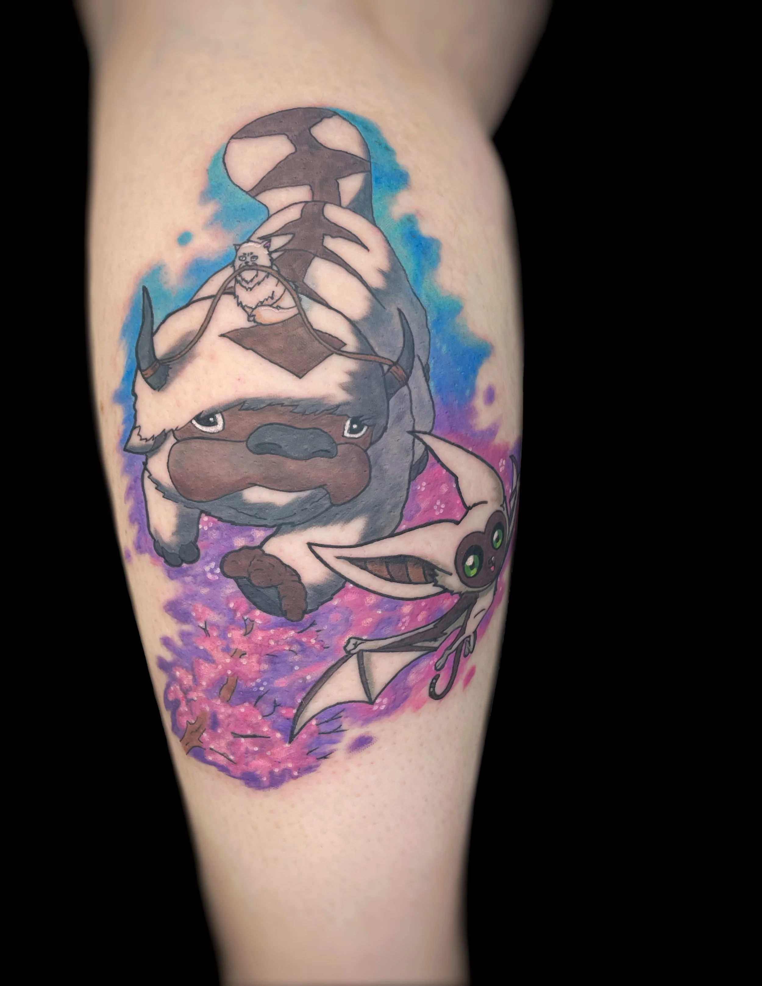 JPEG image-B8A43D1E6CEB-1.jpeg