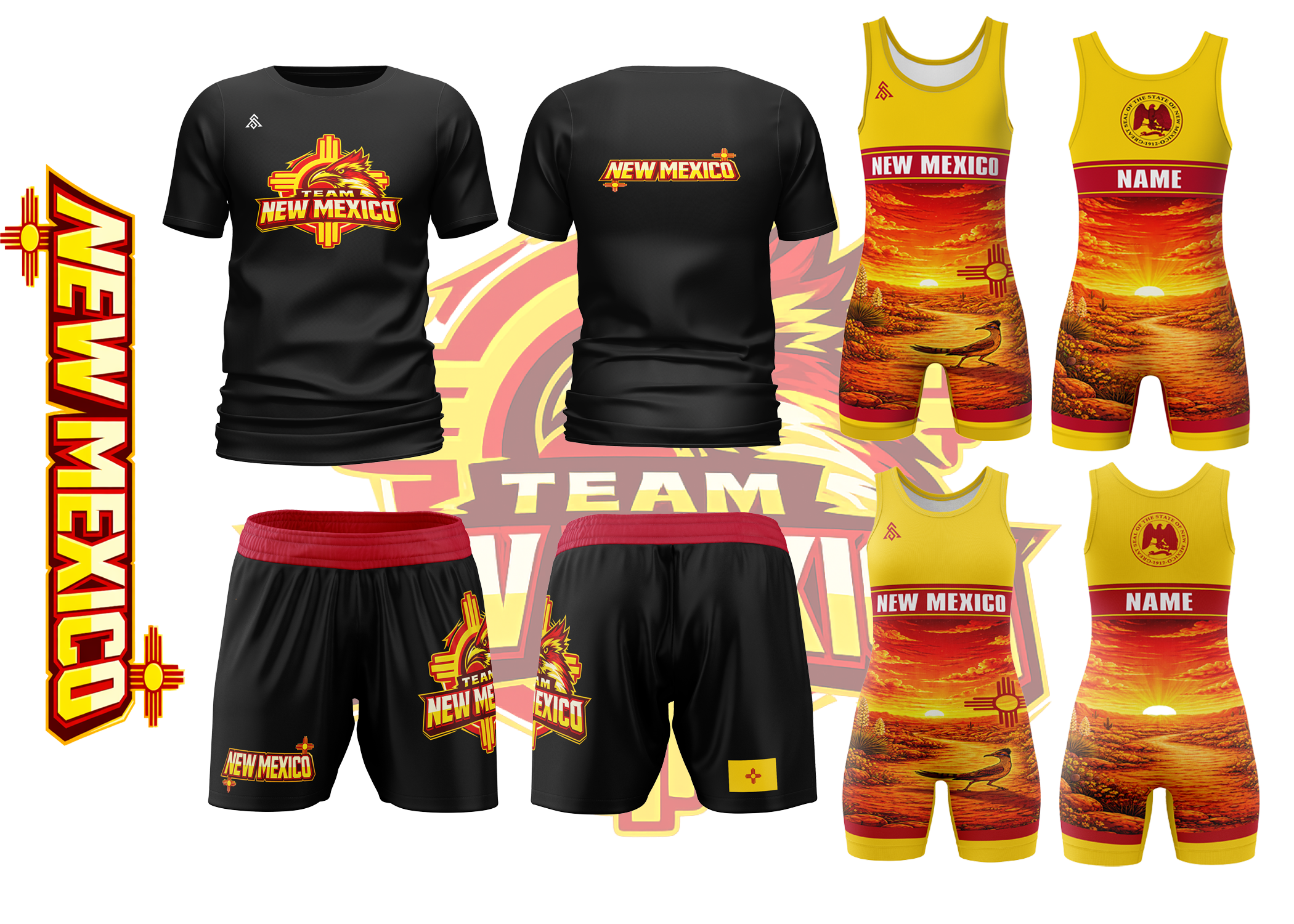Team NM View 2 copy.png