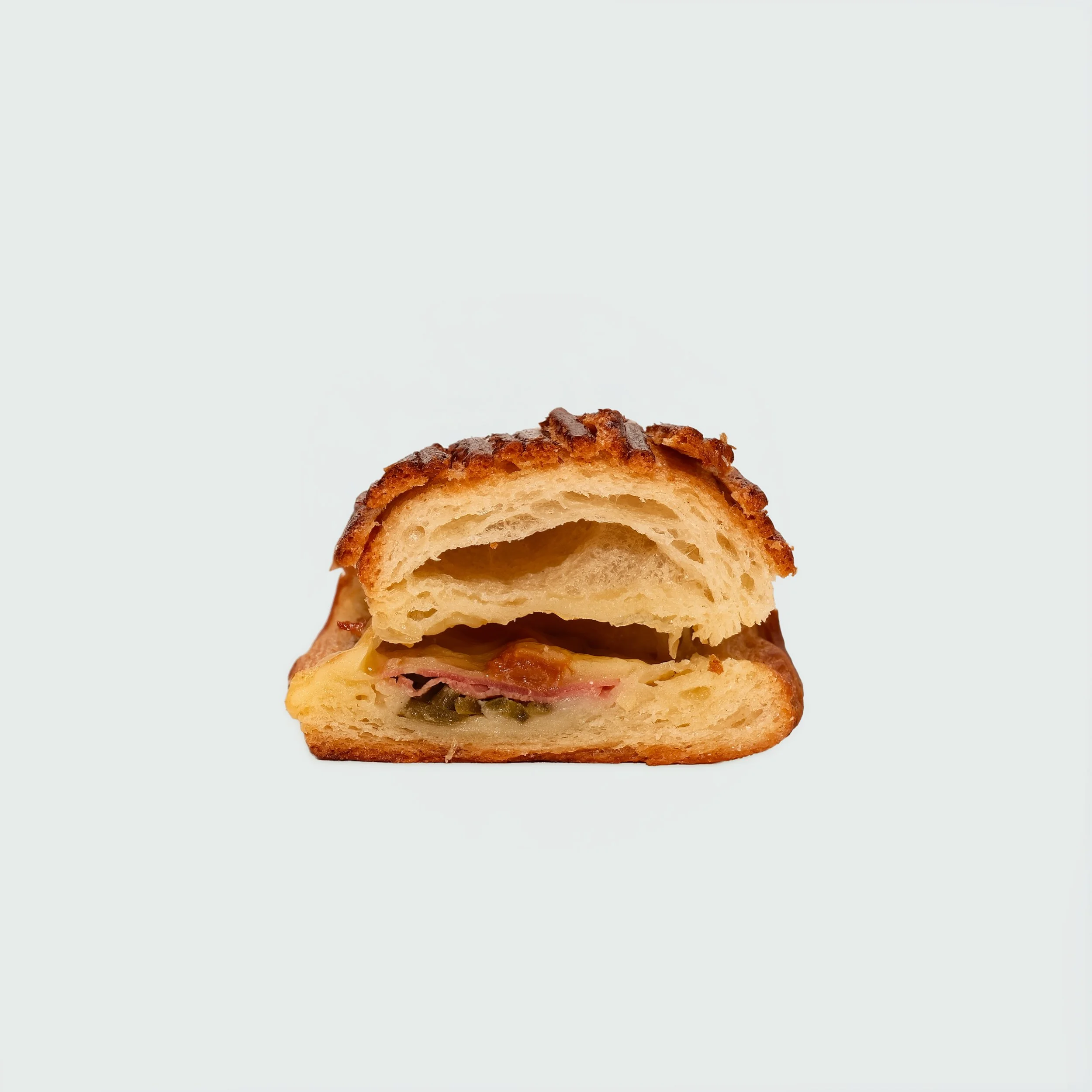 painsuisse_crosssection.jpg