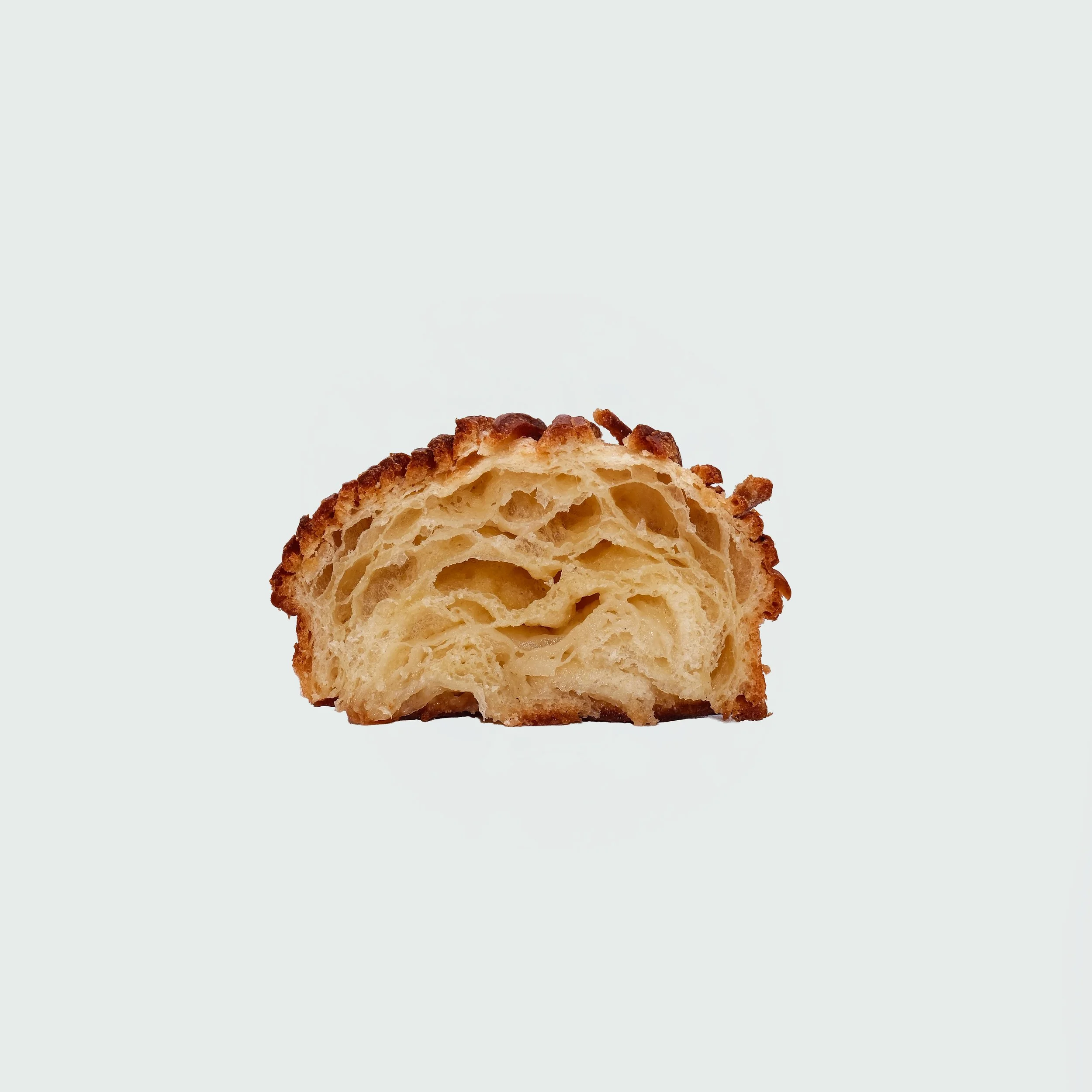 painsuisse_plain_crosssection.jpg
