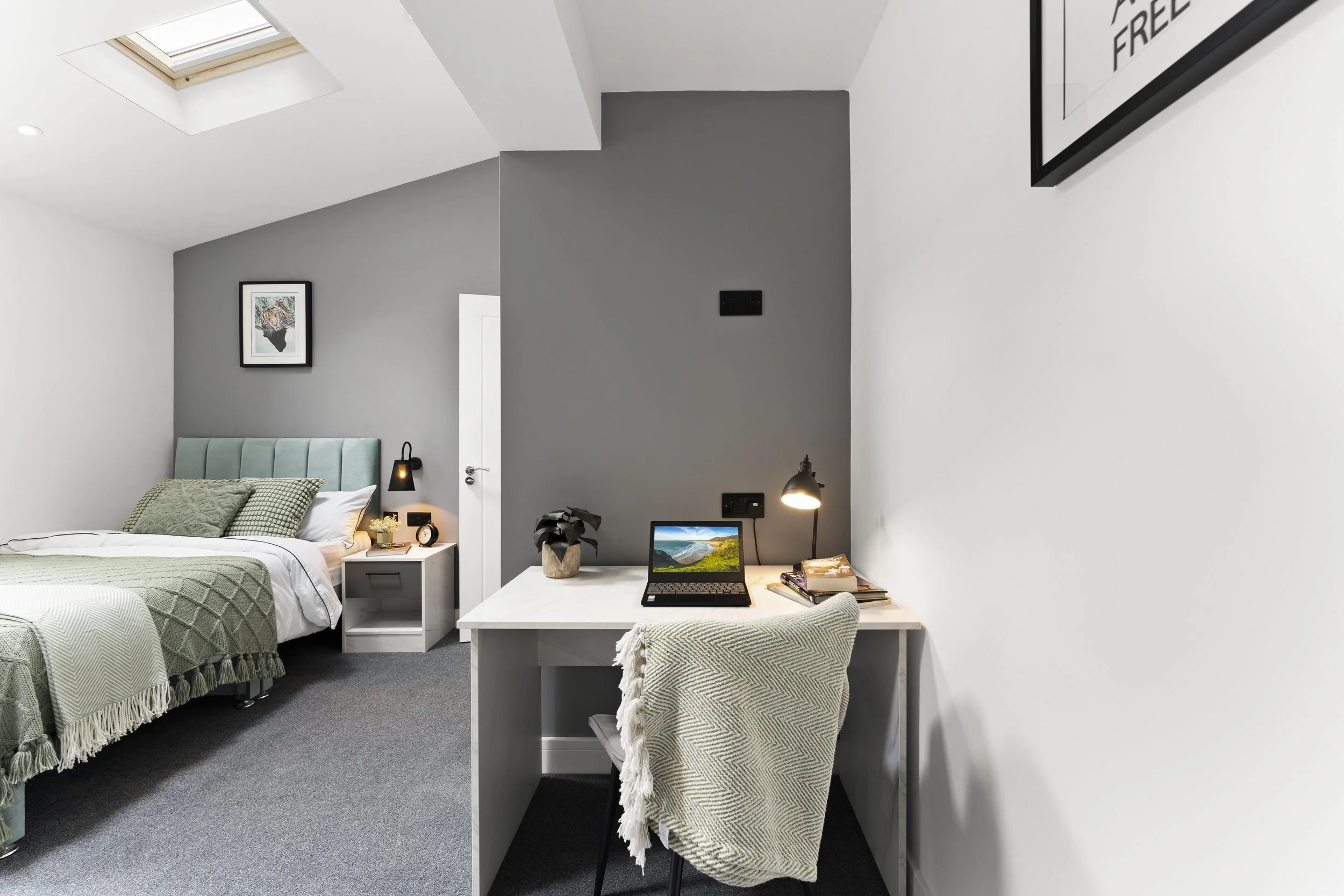 HMO Professional Photography19.jpg