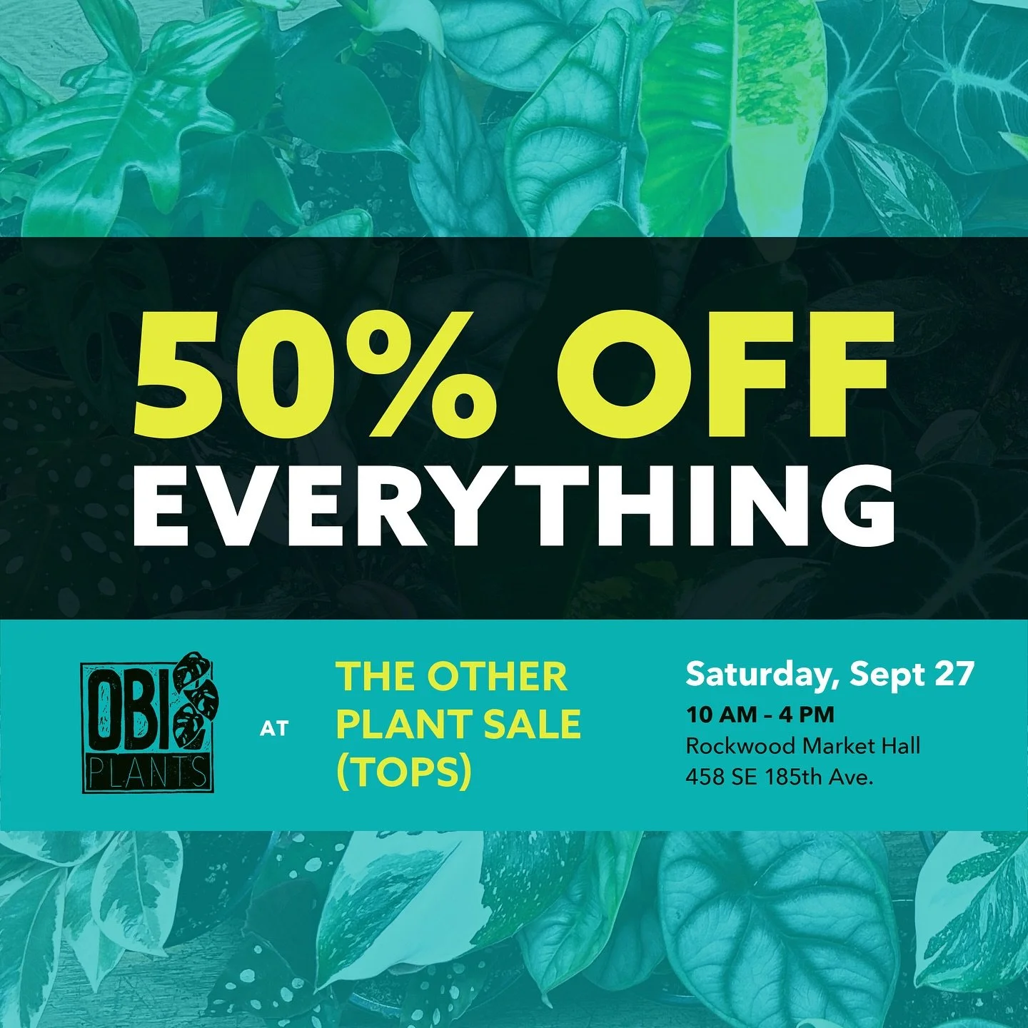 Last event of 2025 = big clear out sale! ✨

Don&rsquo;t miss my last event of the year! Everything will be 50% off - plants, supplies, all of it! 

I&rsquo;m bringing a wide variety of beginner, easy care plants as well as collector plants ranging fr