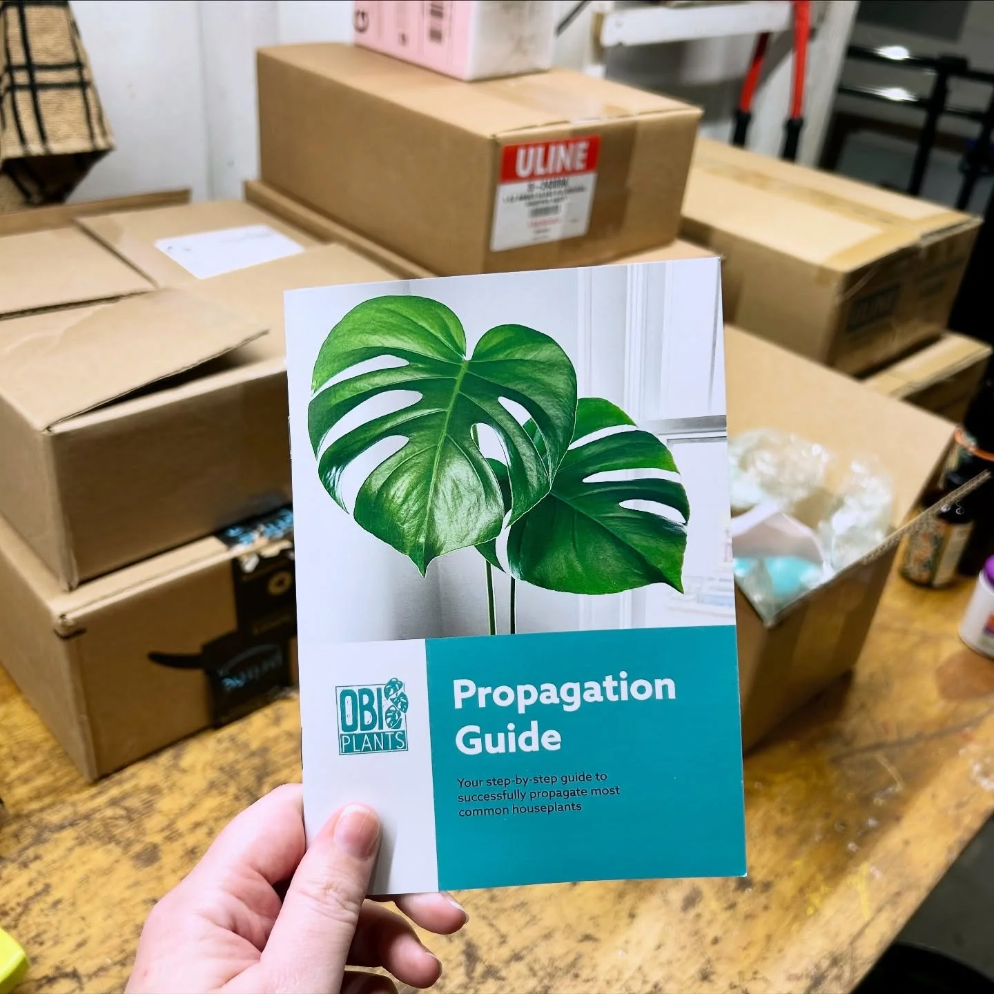 Sneak peek at some exciting new projects I&rsquo;ve got in the works for the holidays! ✨ 

More info soon, but mark your calendars for these holiday markets to get first dibs! 

🗓️ Friday, Dec 5 at Chill &amp; Fill on Lombard 

🗓️ Saturday, Dec 13 