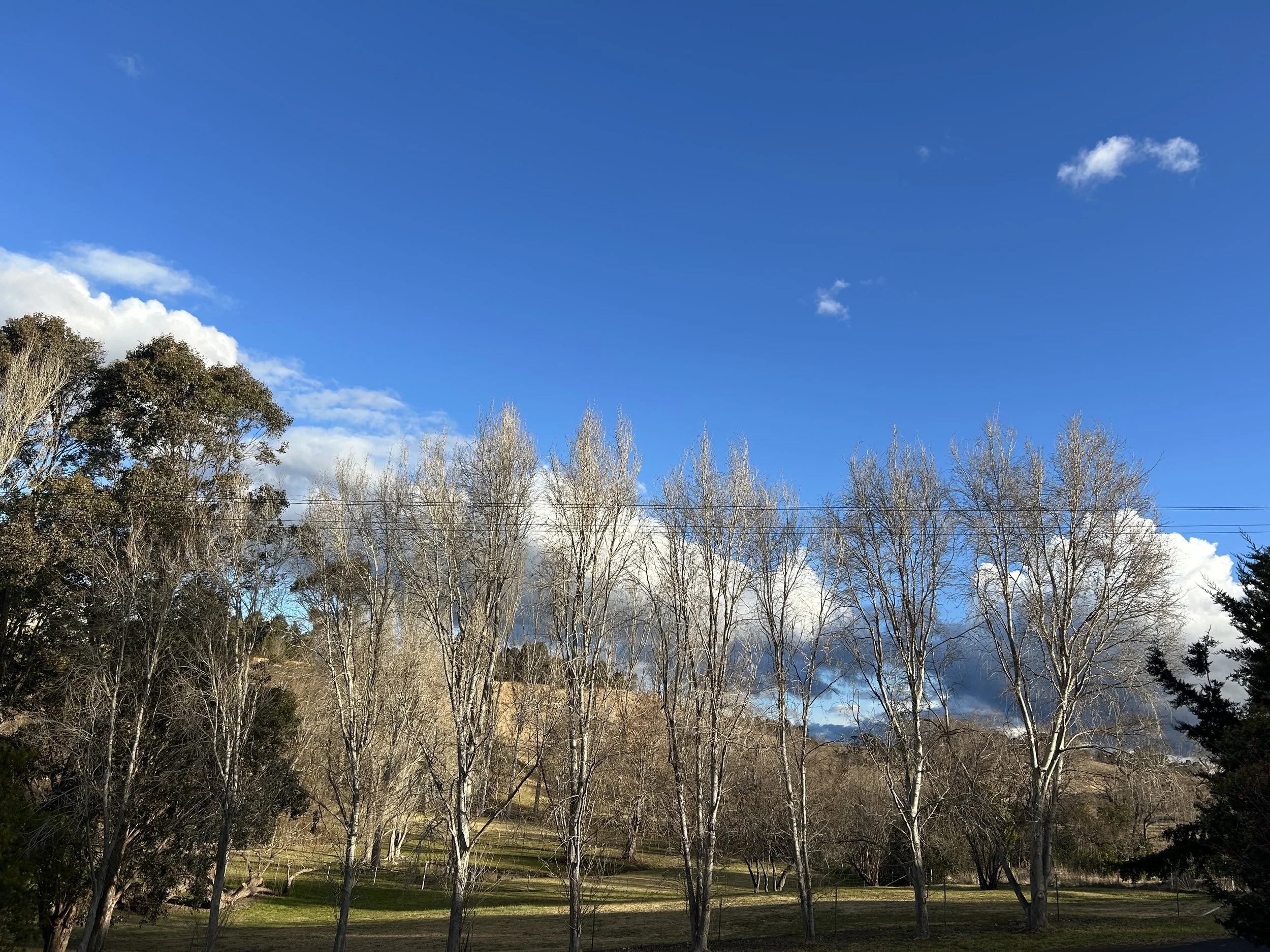 2026 Winter Newsletter from Rhonda D Kerrison