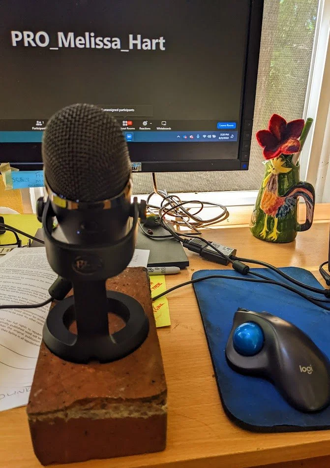 How to Land--and Slay--a Radio or Podcast Interview