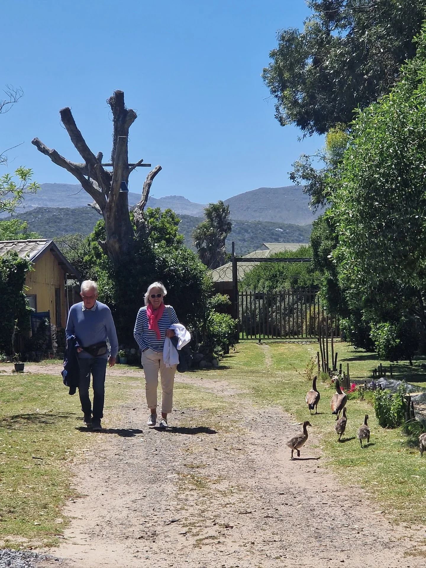 Today we said goodbye to our Swiss friends. For the past 3,5 weeks they did not only experience the beautiful spring in South Africa but also were hands on at Houses of Grace.

Thank you for being part of our community. The kids at the Holiday Club l