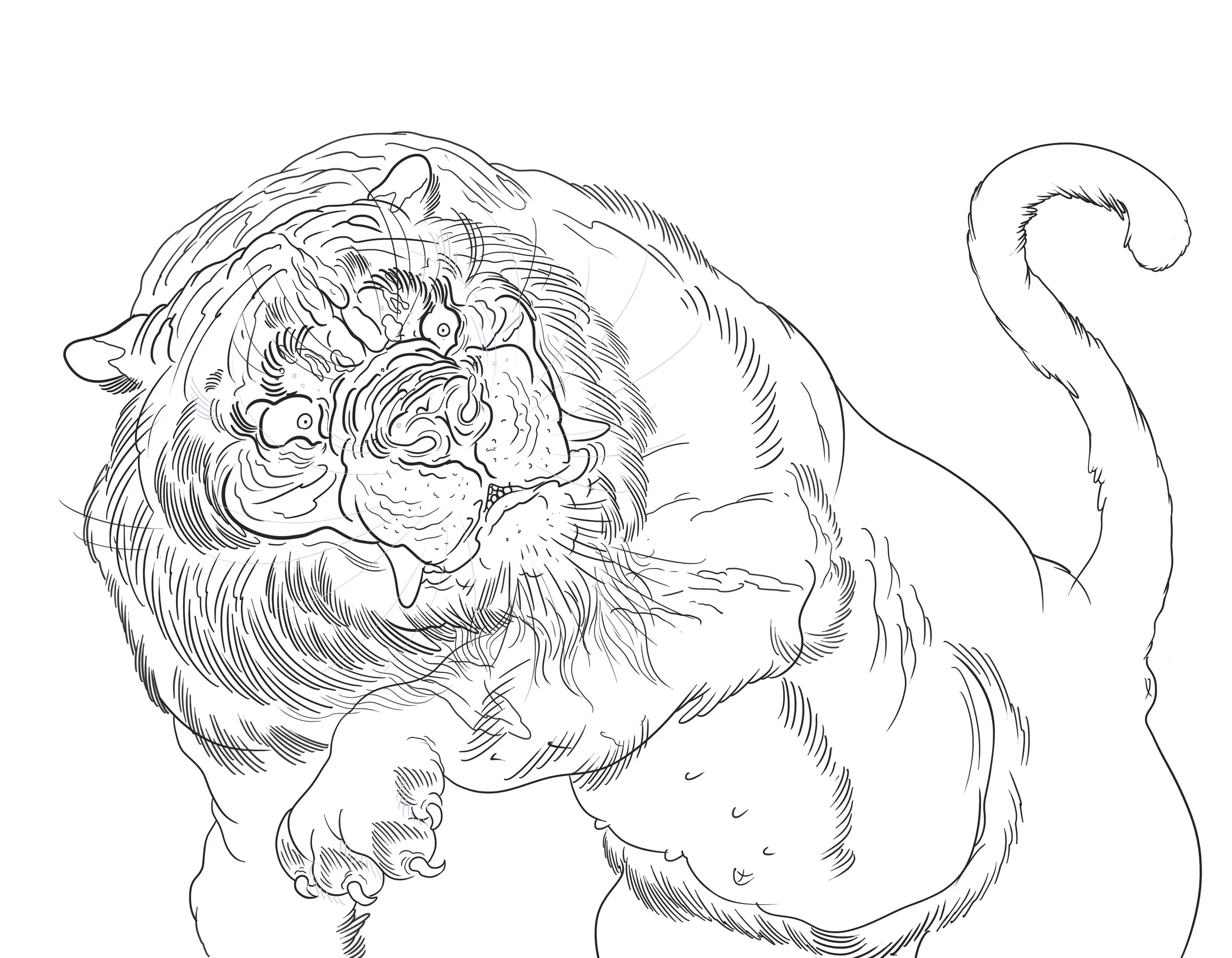 NATURES PROCTECTION.jpg