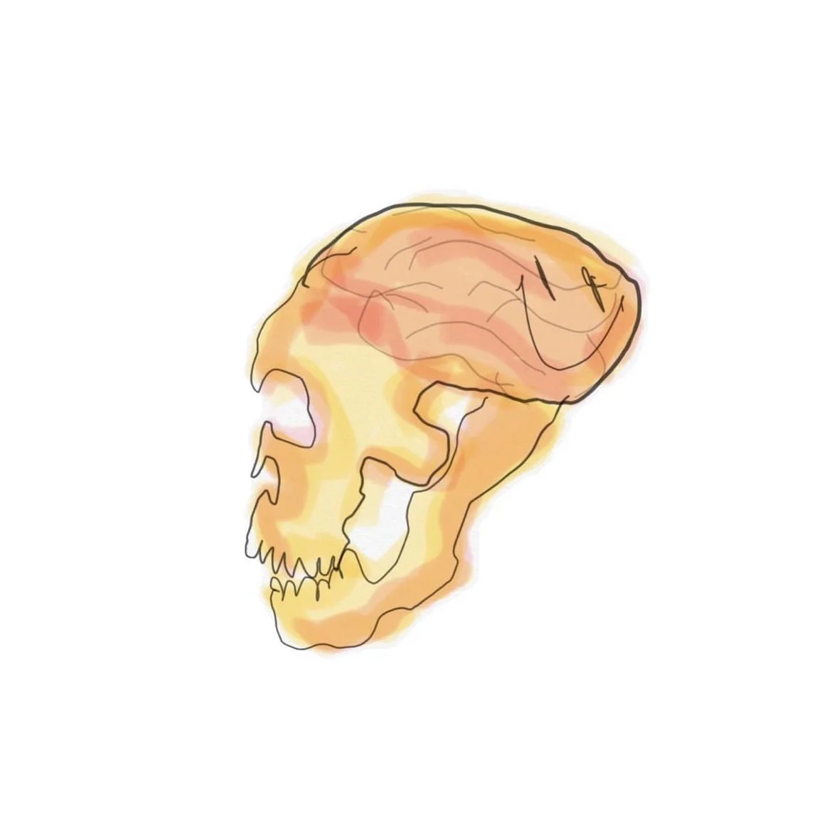 Photo Feb 25, 11 44 33 PM.jpg