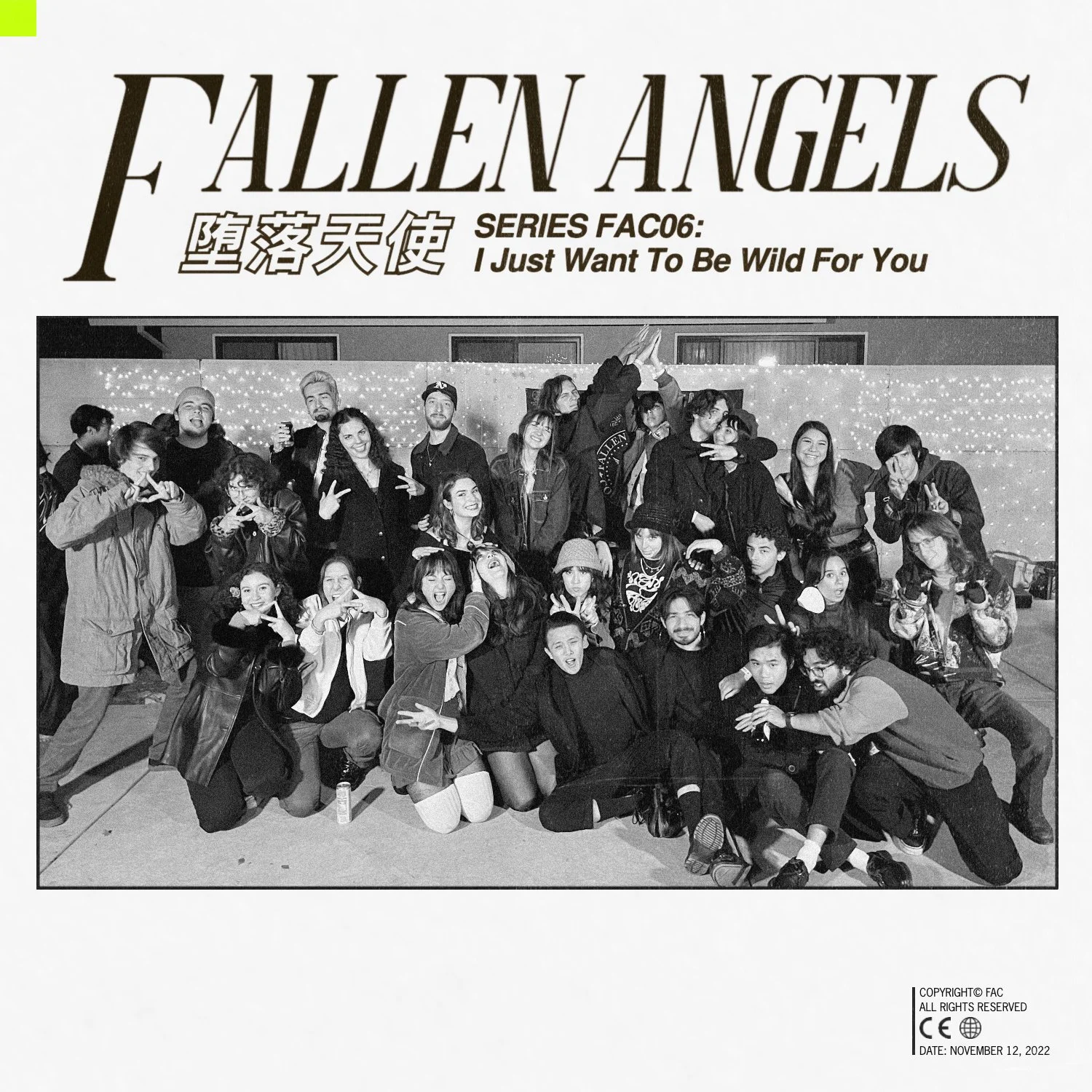 FAC06 Group Silly 1.jpg