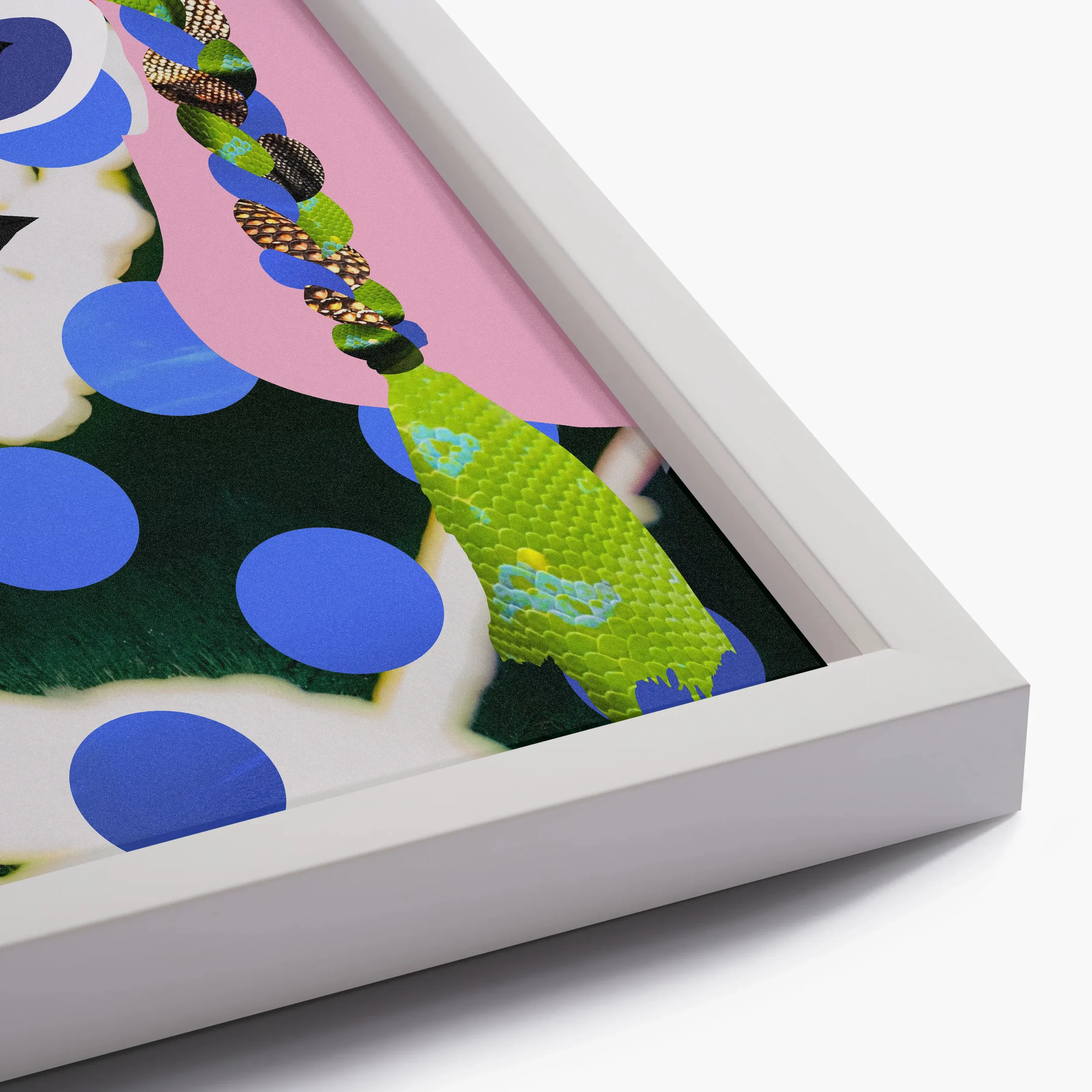 05 Iris_White Frame Close Up_01.webp