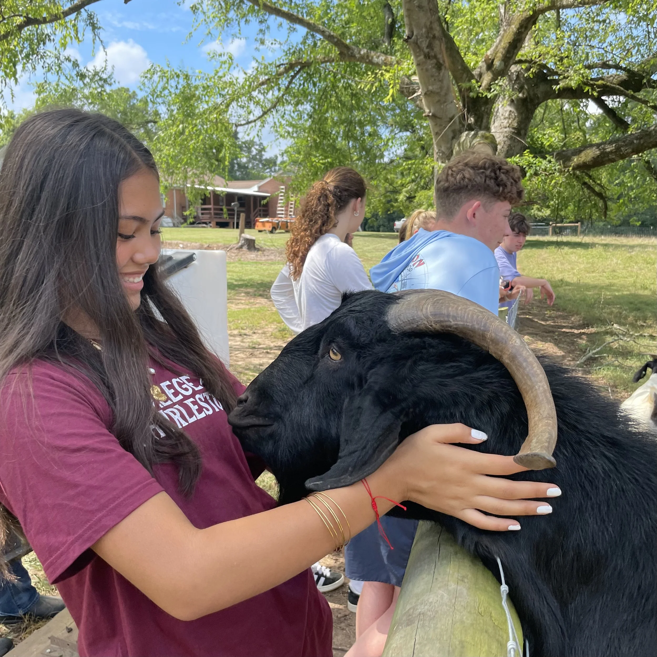 Meeting one of our four-legged hosts