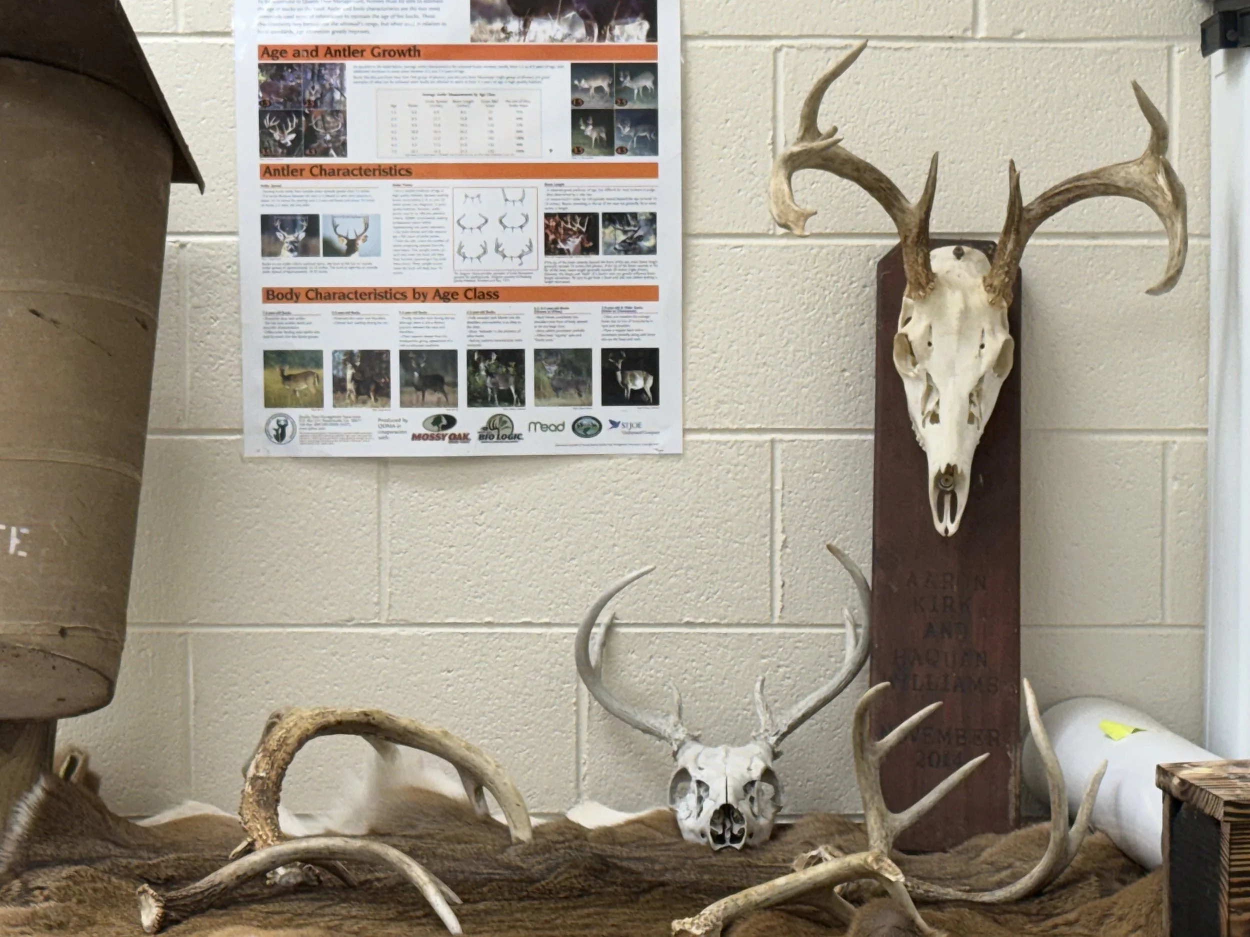 Wildlife study materials