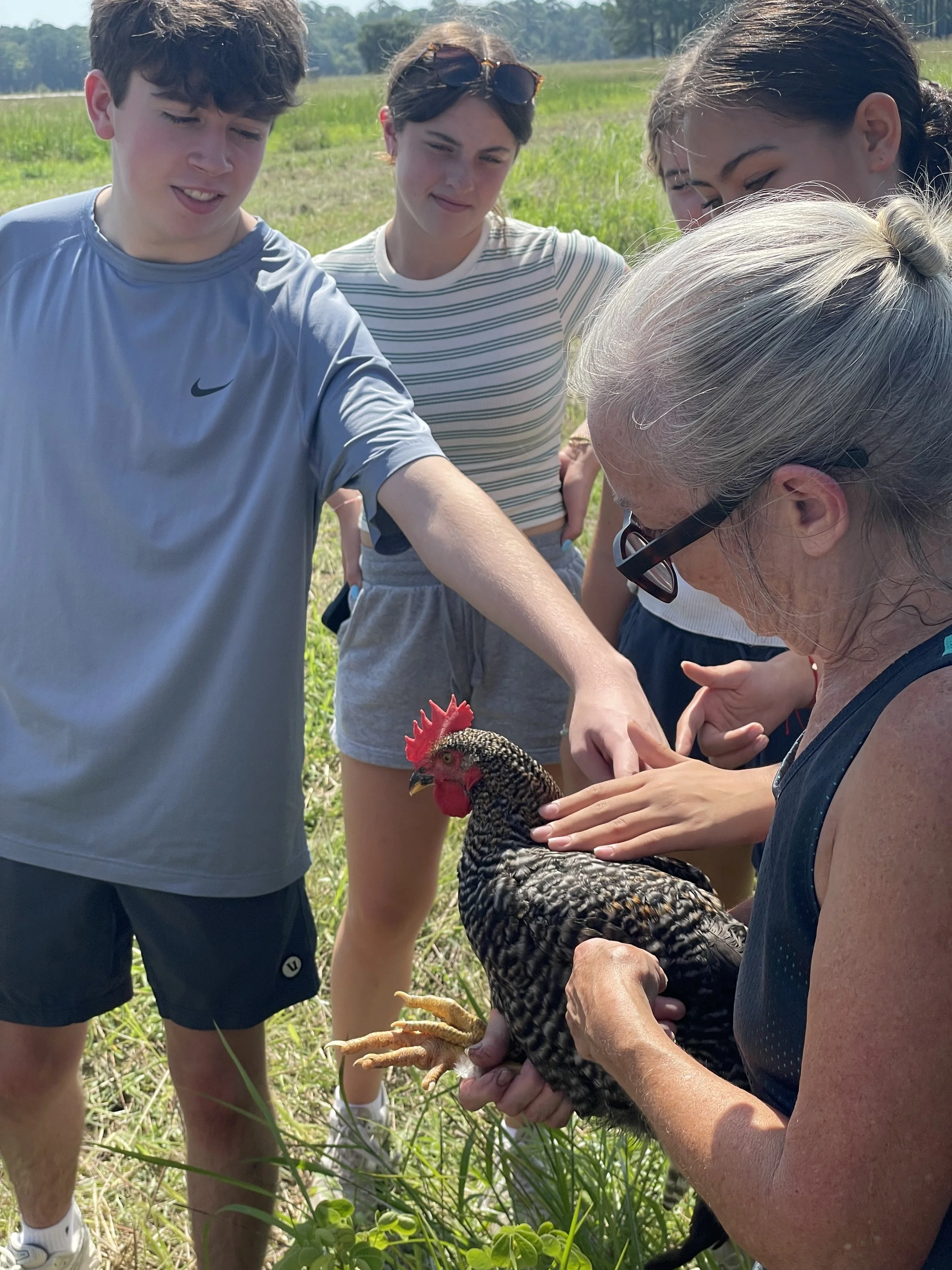 Firsthand chicken experience