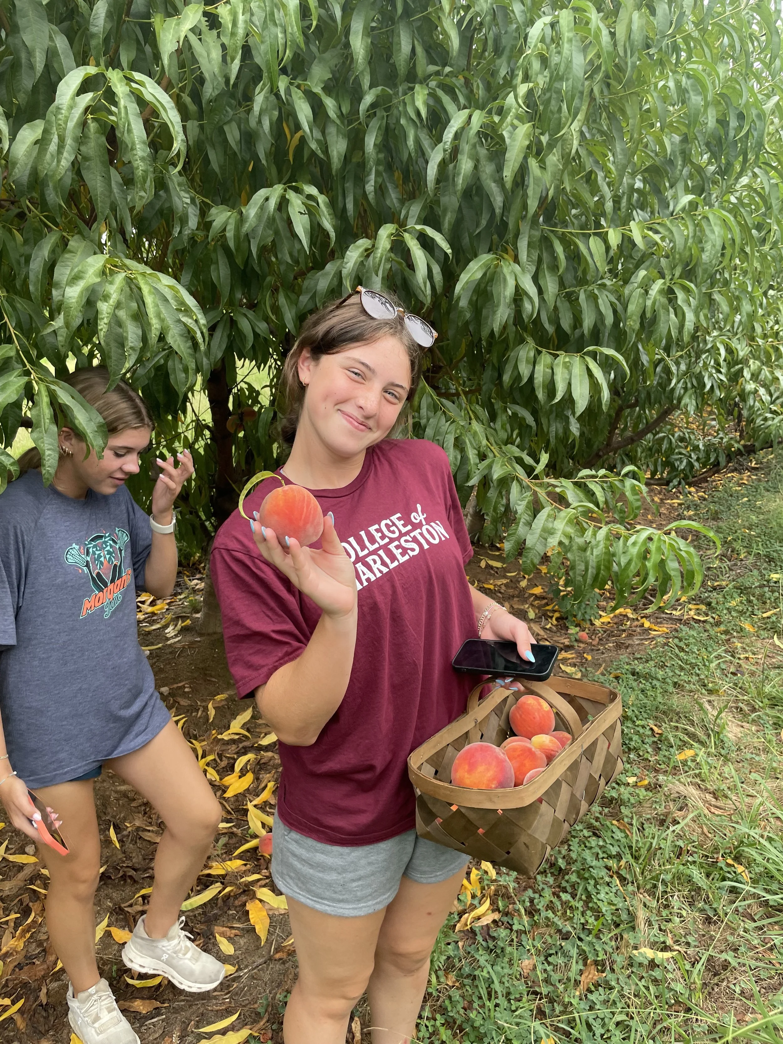 Picking peaches