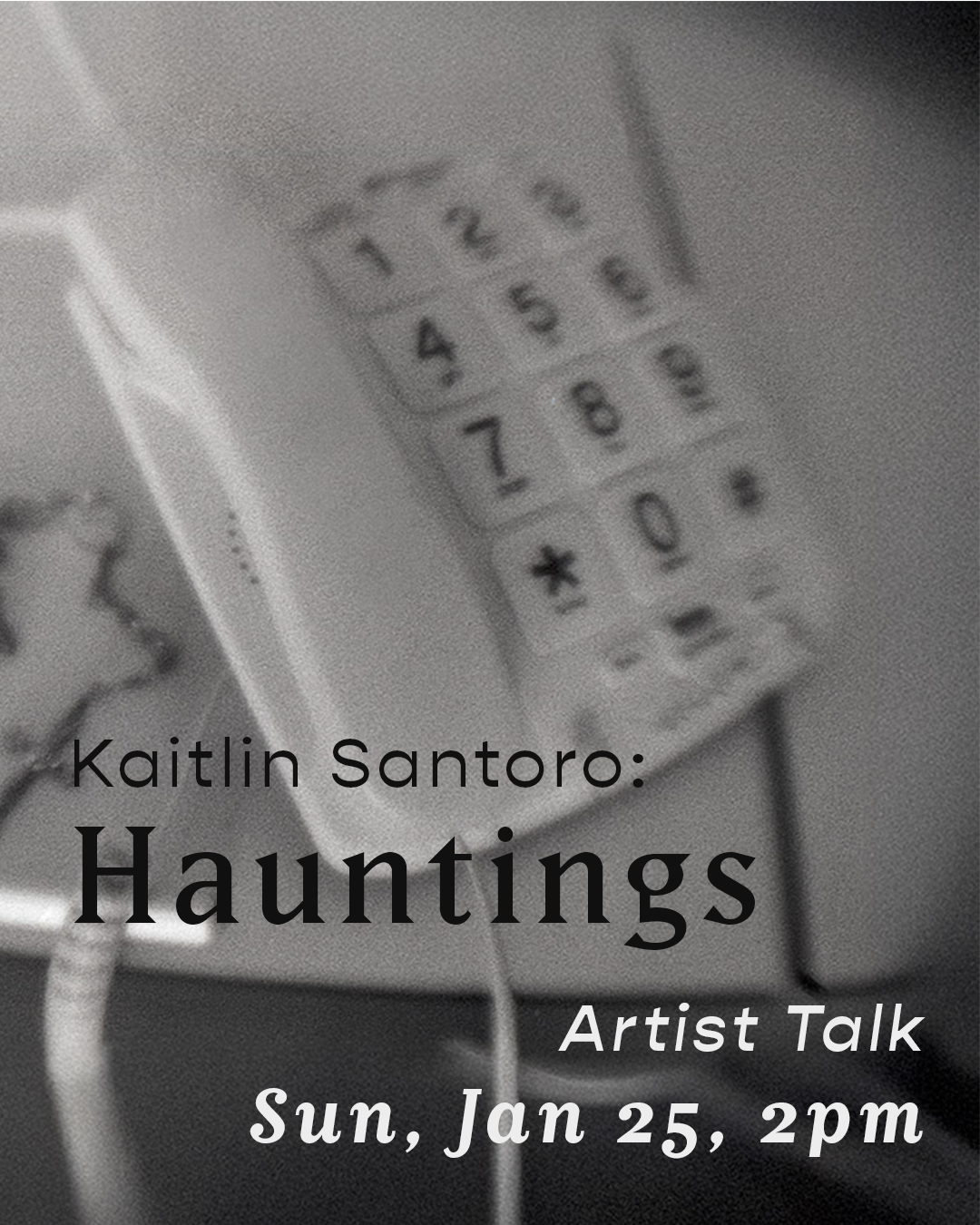 Artist Talk: Kaitlin Santoro