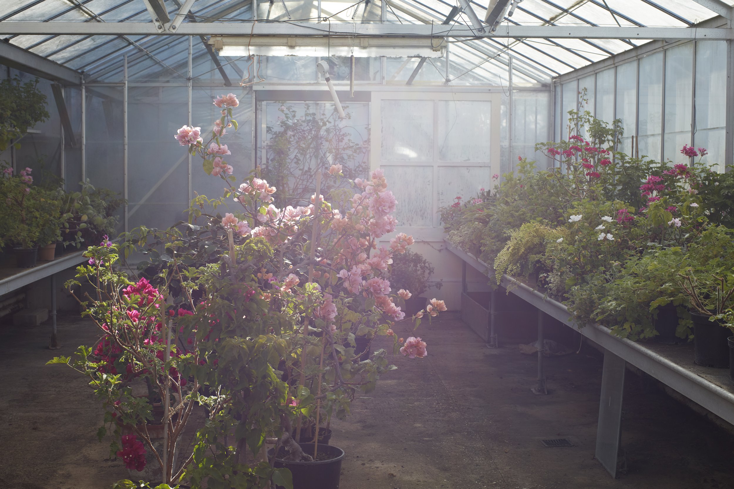 SU1064_FloraSoames_Garden_17 copy.jpg