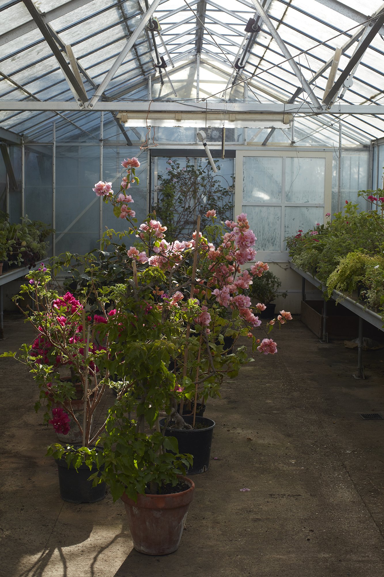 SU1064_FloraSoames_Garden_16 copy.jpg
