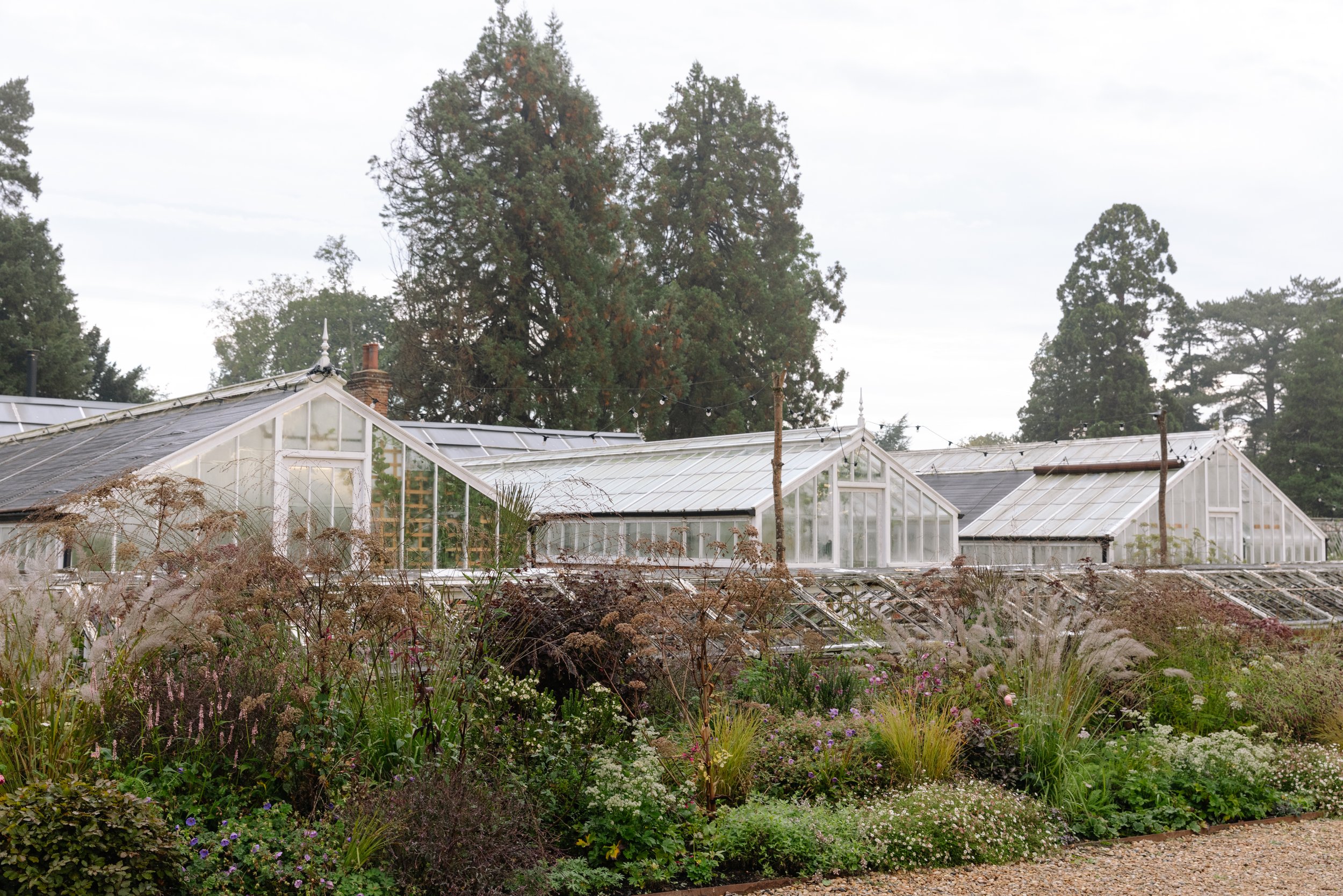 Maria-Bell-copyright-WATER-LANE-SEPT-24-JO-THOMPSON-BORDER-0R9A0162.jpg