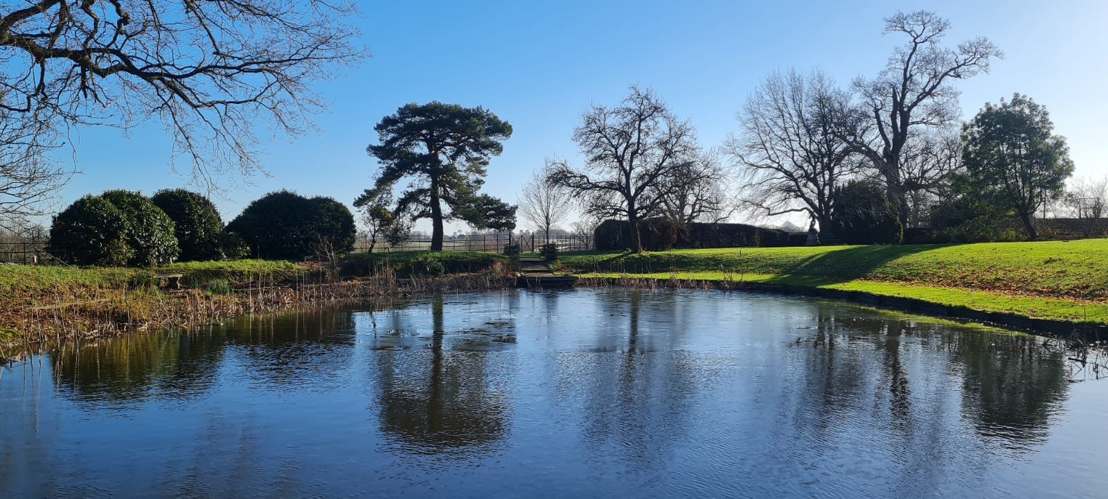 Eggpond in Winter. 1st Sept 2023. Hole Park. Credit Quentin Stark. Copyright Hole Park Estate 2023.jpeg