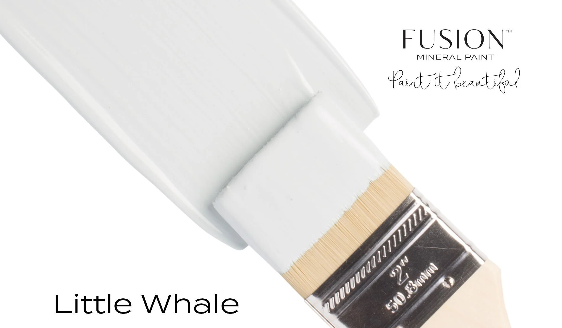 T4LITTLEWHALE.jpg