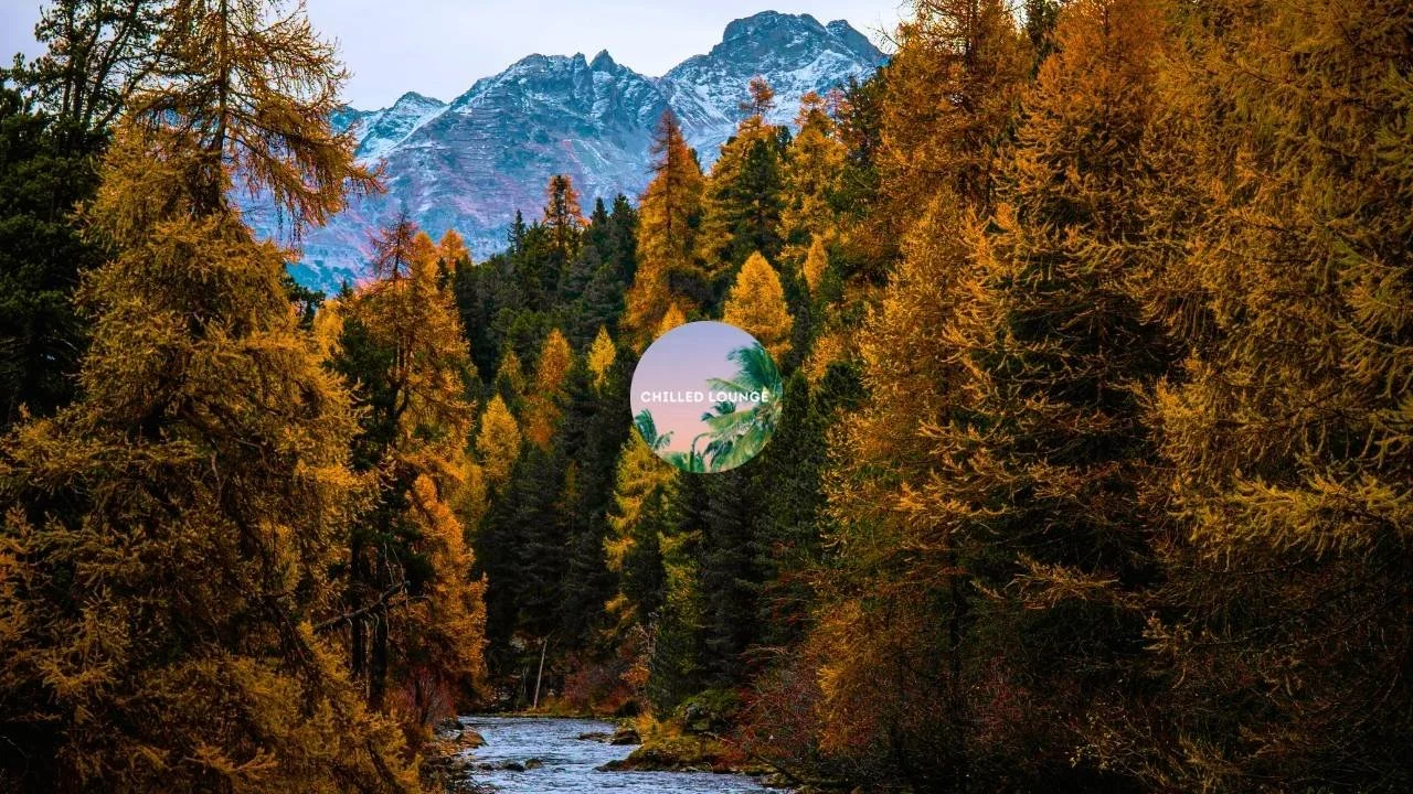 Chilled Lounge Chillout Lounge Relaxing Music Thumbnail