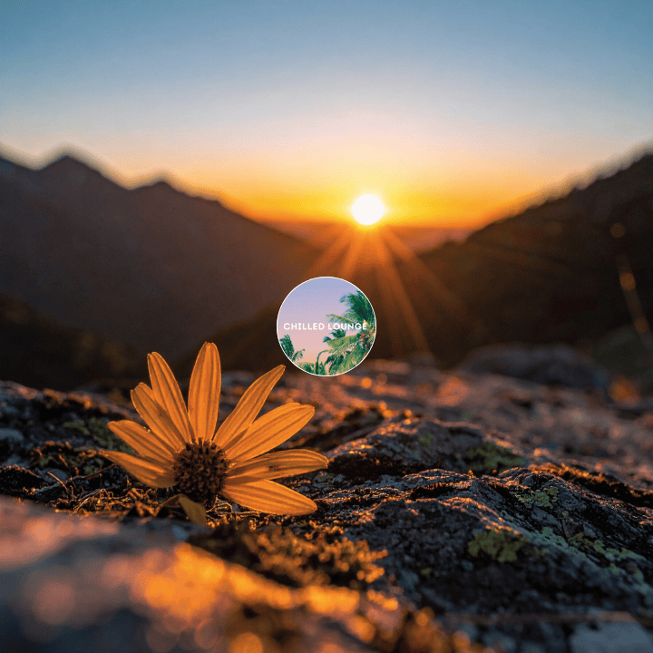 Relaxing evening watching the sunset in nature with chill background music thumbnail with chilled lounge logo