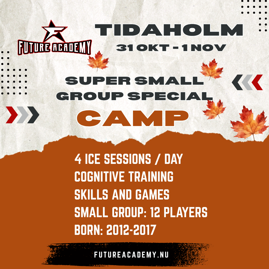 Tidaholm camp.png
