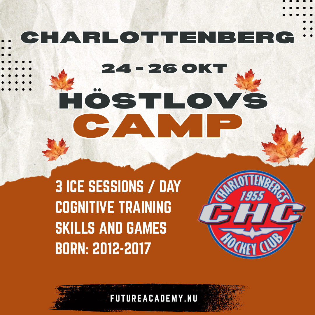 Charlottenberg camp hemsida.png