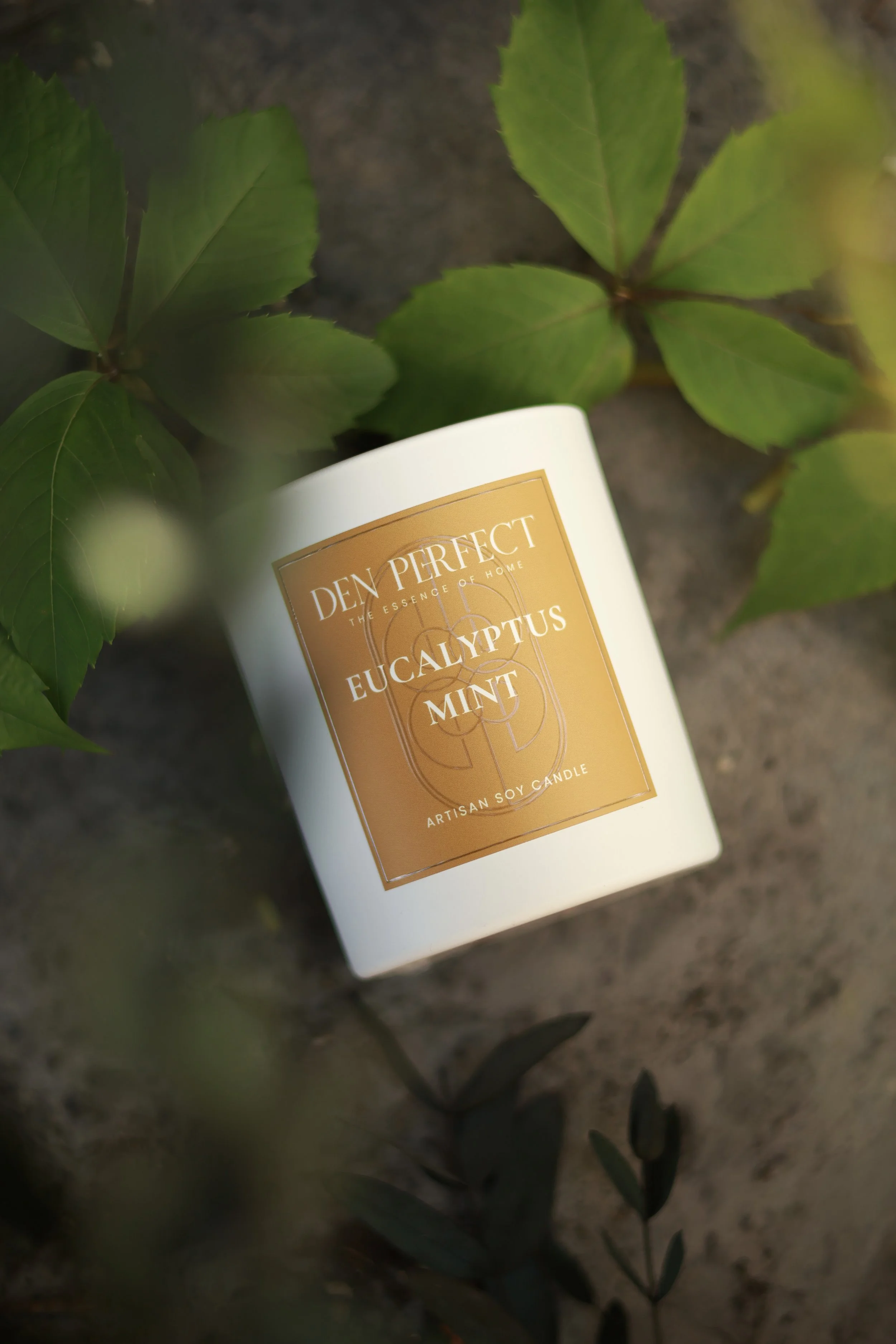 Eucalyptus Mint Candle