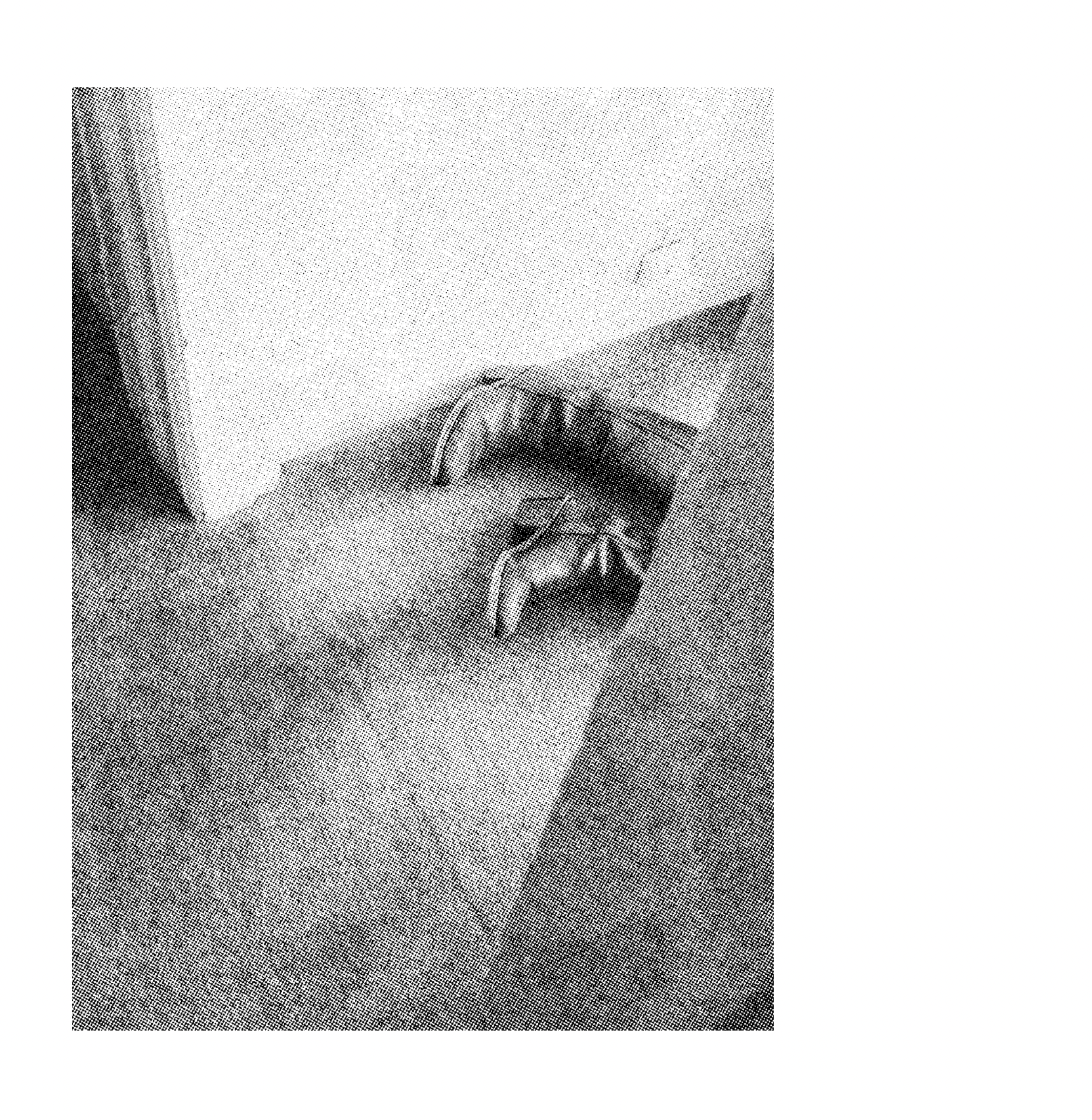 Screenshot 2025-11-05 at 11.23.13 AM.png