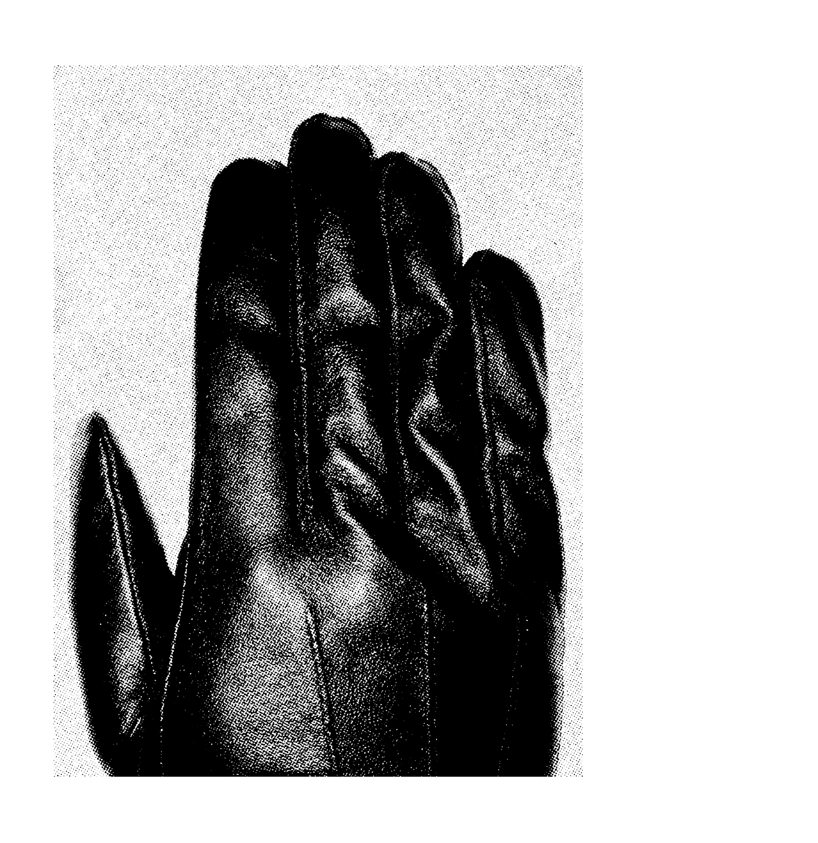 Screenshot 2025-11-05 at 11.22.25 AM.png