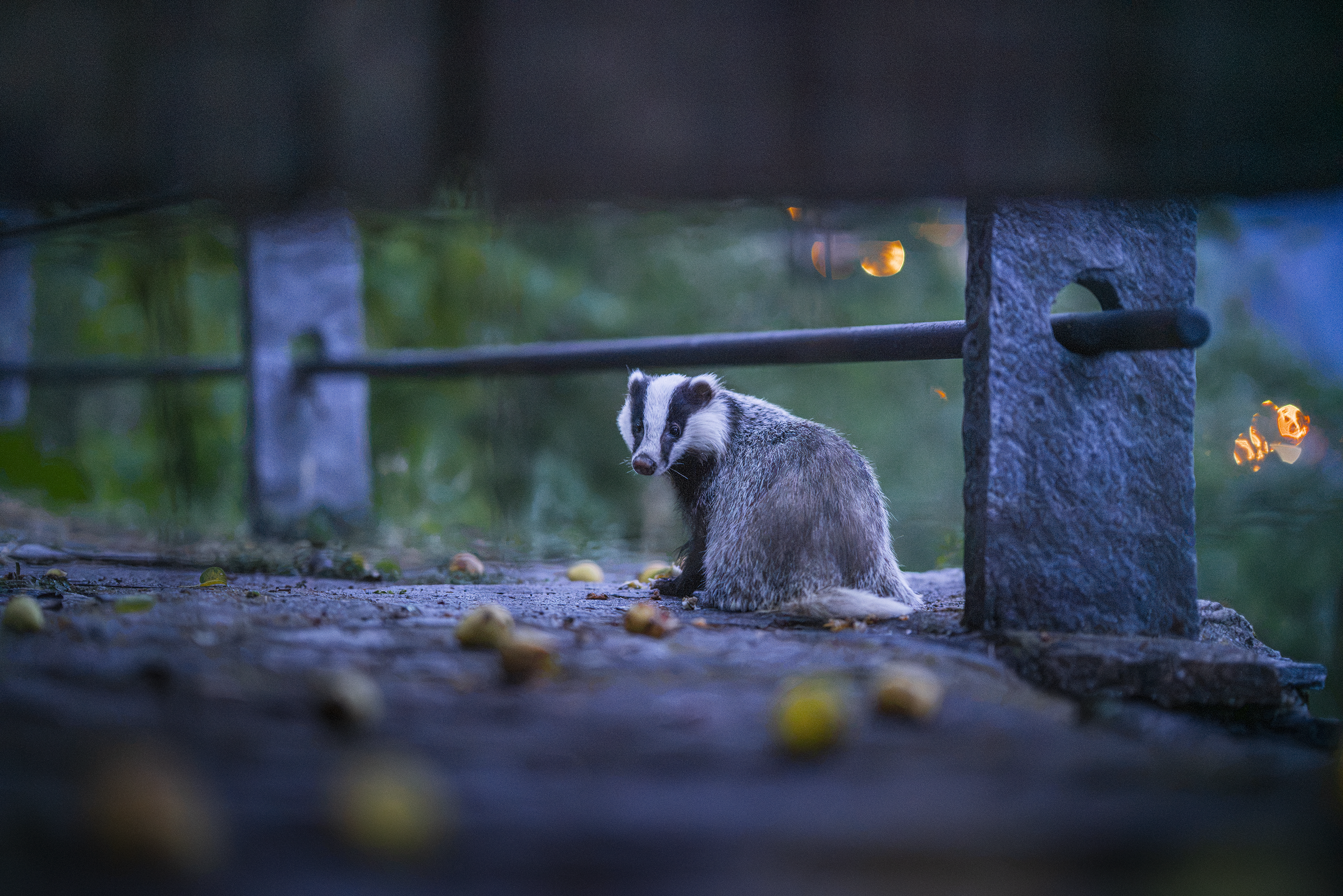 _DSC10097.png
