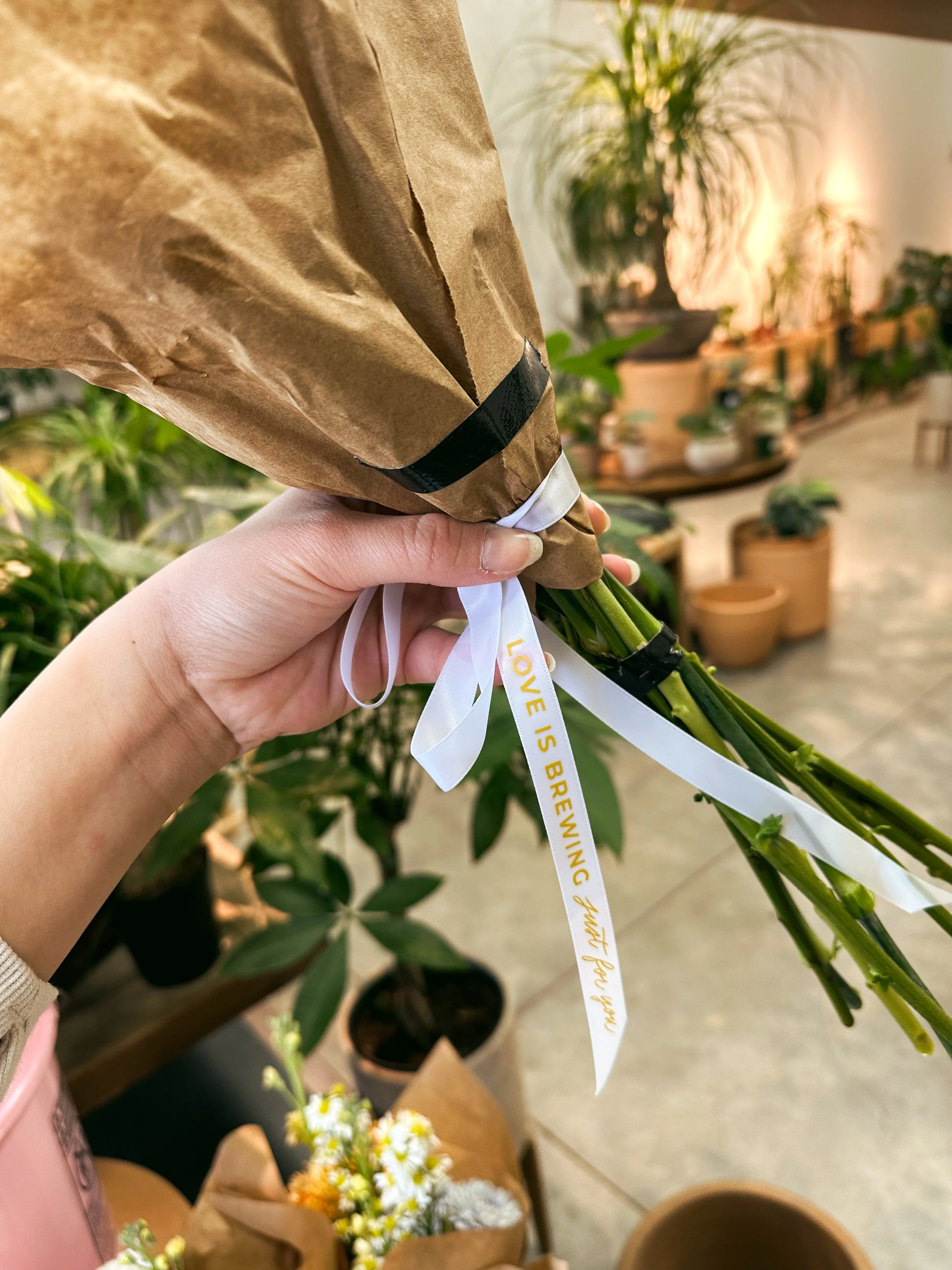 Tanyag Studio x Dormant Plant Parlor hand-tied Valentine's Day Collab 2026 | Heat Vinyl Transfer on Ribbon